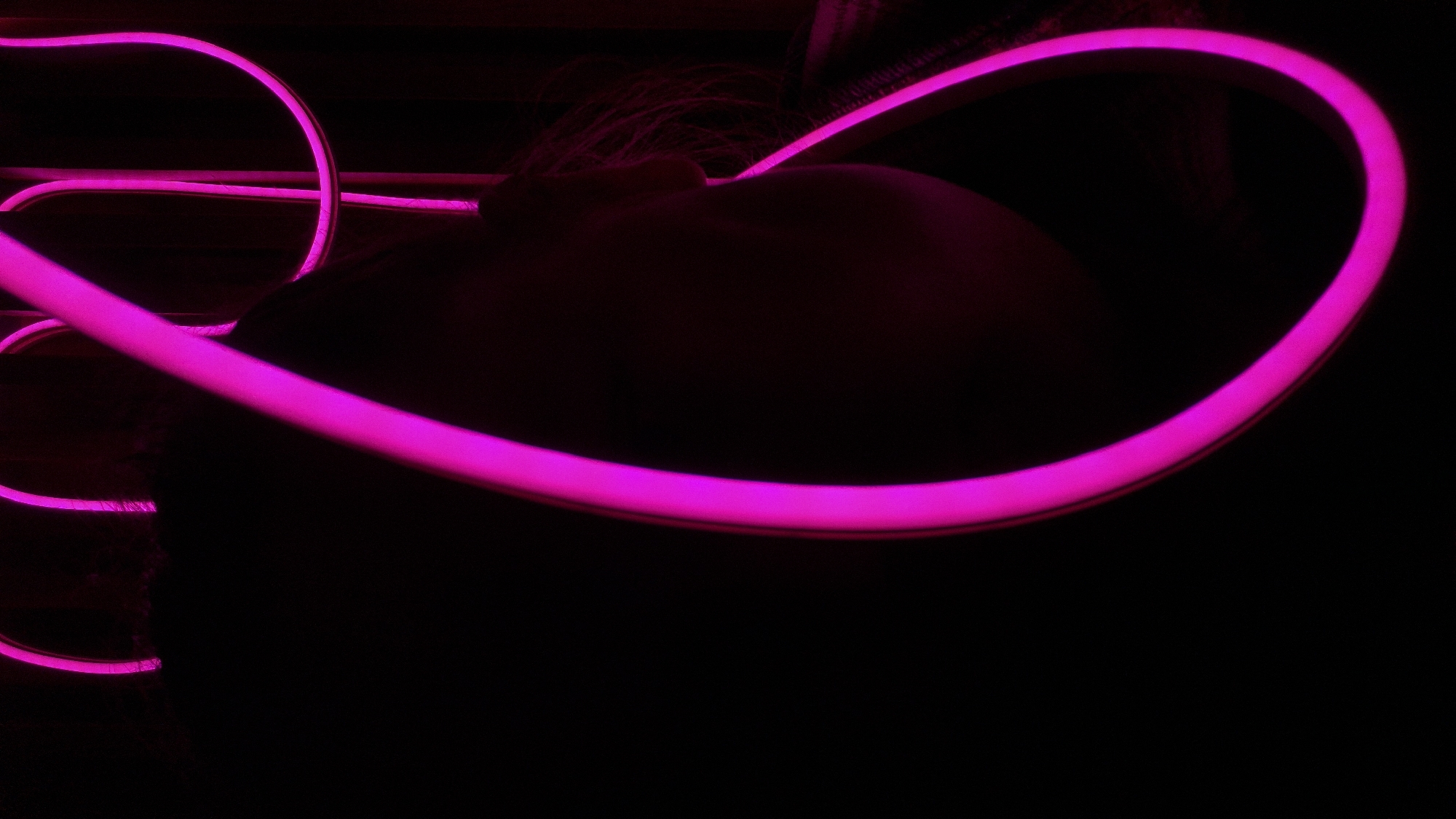 A low-light photograph depicts a partially obscured person with shoulder-length hair. The illumination is provided by several strands of bright pink neon lights that are curved and positioned around the person. The background is entirely black, with the neon lights and a portion of the person's head and back being the only visible elements. There is no information in the image to suggest it was taken in the city of Chaikovsky, Russia.