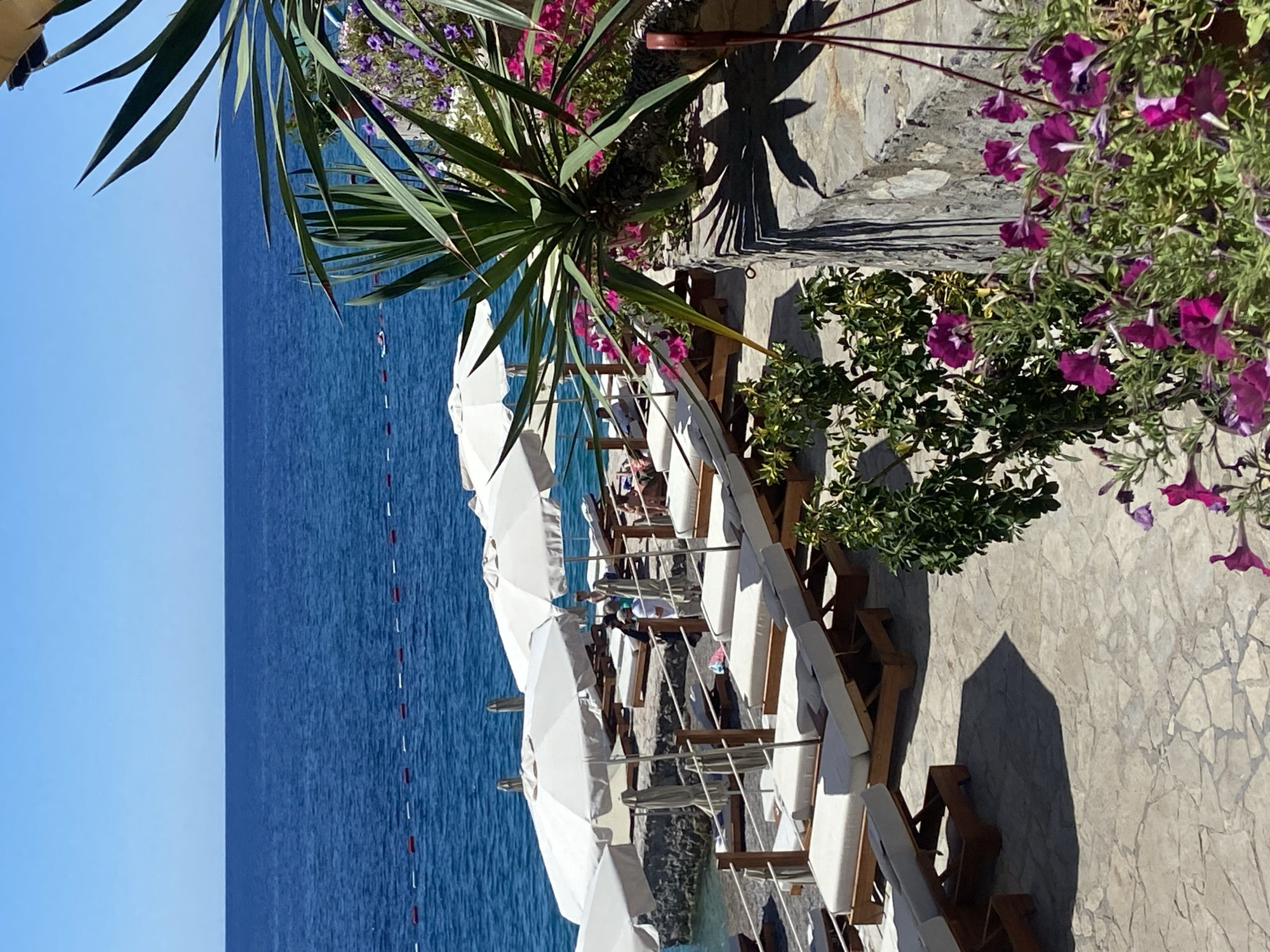 This image depicts a sunny day at a beachside resort area in Prijevor, Montenegro. In the foreground, a paved stone patio is visible, dotted with lush green plants and vibrant purple flowers. Beyond the patio, rows of unoccupied white lounge chairs with beige cushions are neatly arranged under white umbrellas, suggesting a well-maintained relaxation area.
The middle ground reveals the azure waters of the Adriatic Sea, marked by a floating red and white buoy line. A few people are seated on lounge chairs near the water's edge, while others appear to be walking along the stone-lined beach. Further back, the sea stretches to the horizon, meeting a clear blue sky.
A large palm-like plant with long, green fronds dominates the right side of the frame, casting a distinct shadow on the stone wall. The overall scene evokes a sense of tranquility and a classic Mediterranean summer vacation setting.