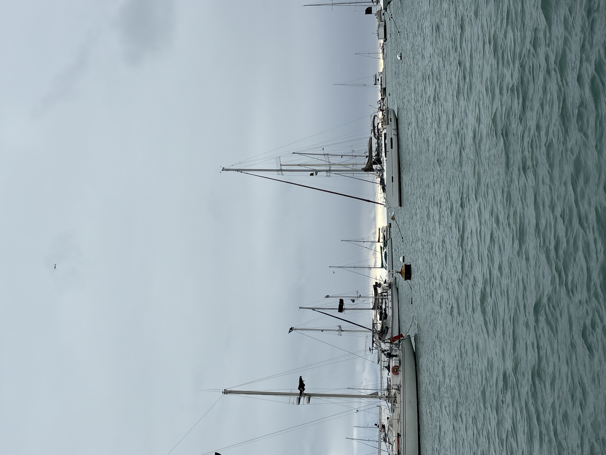The image shows a harbor filled with numerous sailboats anchored in overcast, choppy waters. The sky is heavily clouded, with a few darker patches suggesting a possibility of rain. The sailboats are of various sizes and designs, with their masts and rigging prominently visible. Some boats are closer to the foreground, showing more detail on their decks and hulls, while others are further back, appearing smaller in the distance. A single bird is visible in flight high in the sky. The scene is serene and quiet, with no visible human activity on the boats. The water is a deep, muted green-blue, reflecting the dull light from the sky. The overall impression is of a still, contemplative moment in a maritime setting, likely a marina or anchorage. The location is identified as La Punta, Peru, which is known for its coastal activities and harbor.