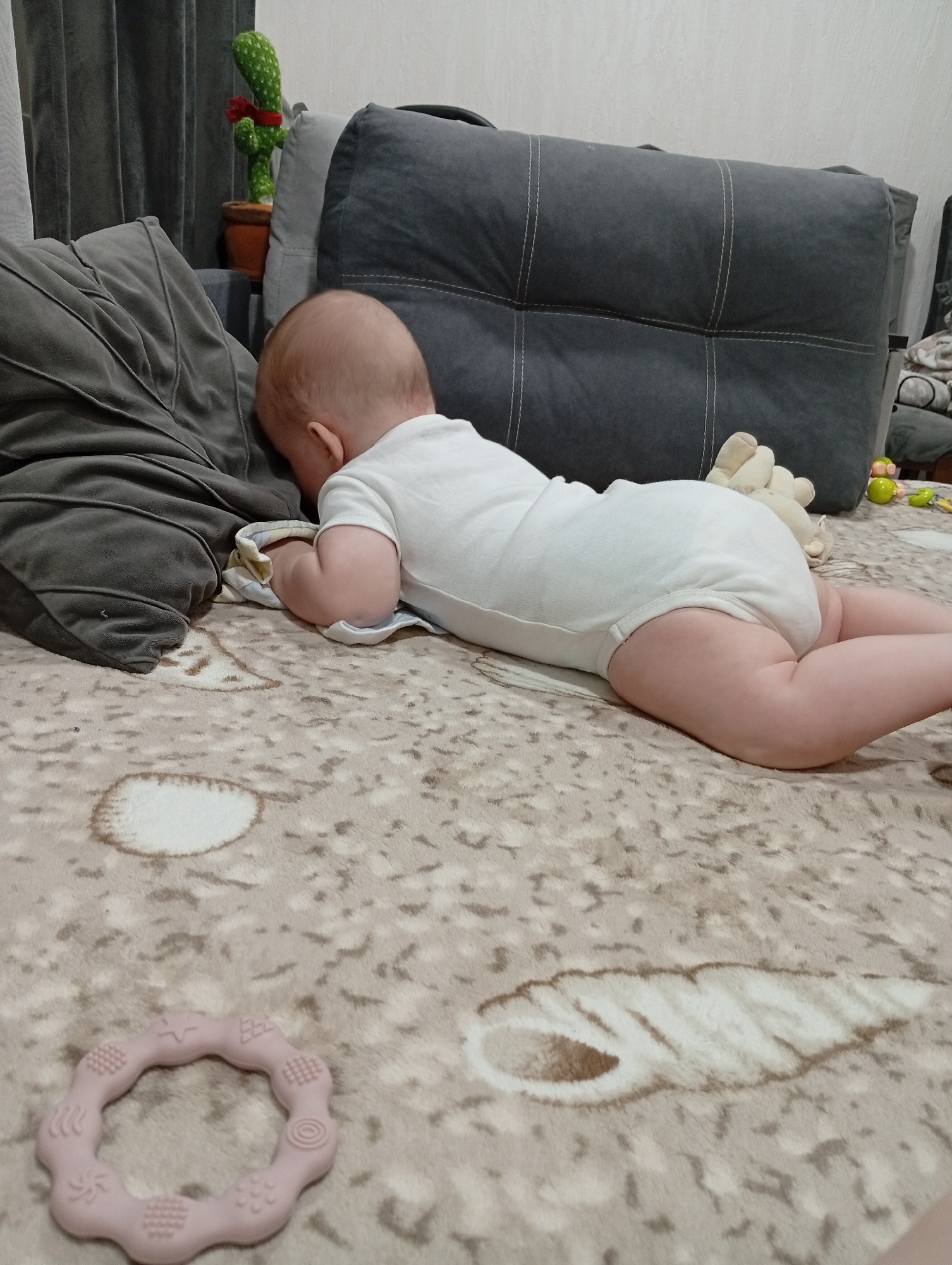 An infant is lying on its stomach on a patterned rug. The infant is wearing a white onesie and is positioned facing away from the camera, with its head resting on its arms. To the left of the infant is a large gray pillow. In the background, a portion of a gray couch is visible. To the far left of the image, behind the pillow, is a decorative artificial cactus in a terracotta pot. To the right of the infant, a portion of a stuffed animal and some toys are visible on the rug. A pink teething toy is in the foreground, to the lower left of the image. The scene appears to be indoors, likely in a residential setting in Pănășești, Moldova.