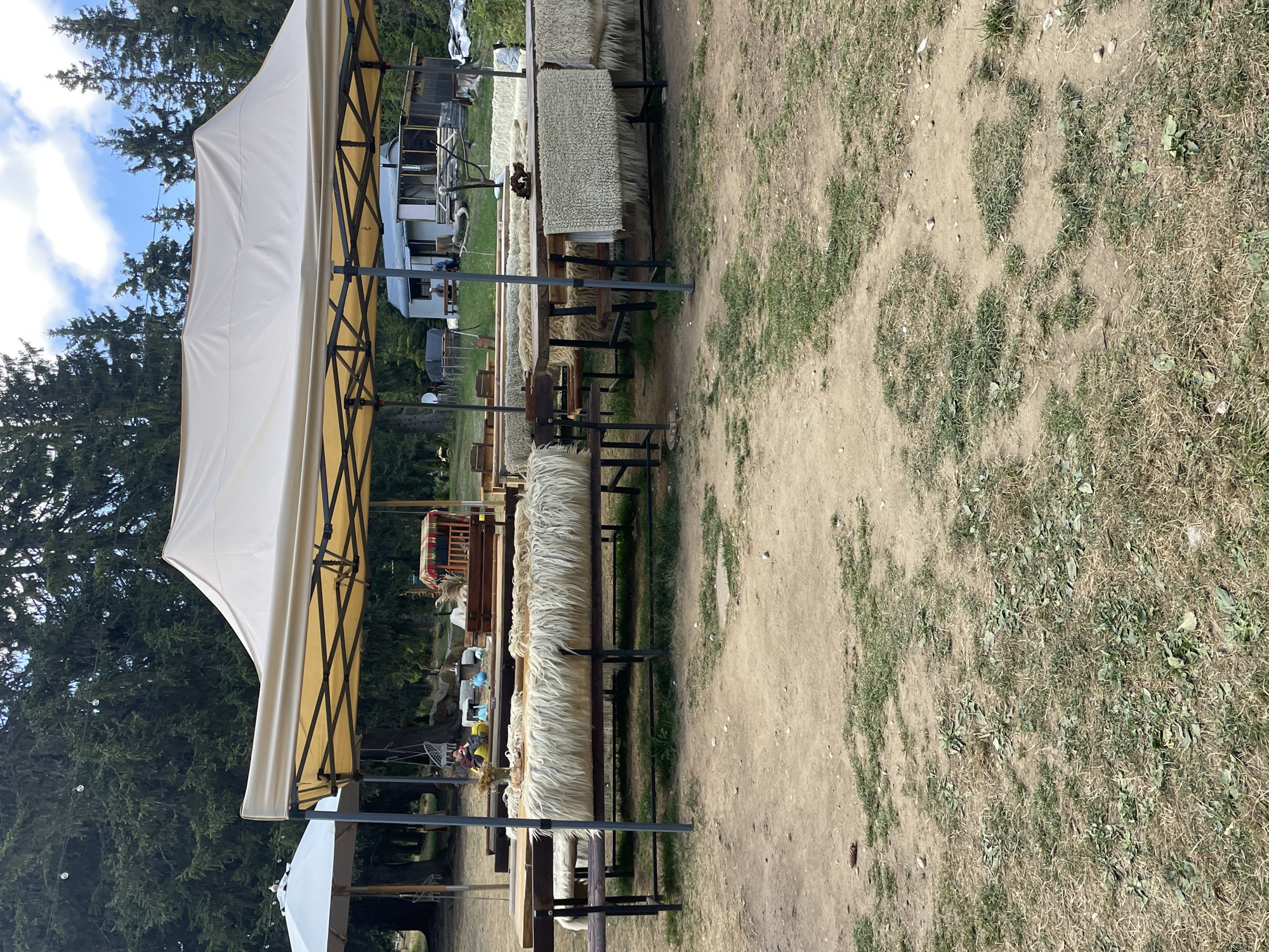 The image shows an outdoor seating area with wooden tables and benches, covered by a large beige tent. The tables are adorned with long, shaggy white sheepskin rugs. In the background, tall evergreen trees form a dense forest, and a bright blue sky with scattered clouds is visible. There is a small building with a porch in the distance, and what appears to be a trailer or mobile home. The ground is a mixture of dry earth and patches of grass. The scene suggests a rustic outdoor venue, potentially for a market, event, or restaurant, likely located in a natural, forested area. The image appears to be taken during the day with natural lighting. The presence of sheepskin suggests a possible connection to traditional pastoral activities, and if this location were in Smolyan, Bulgaria, it could be indicative of local crafts or agricultural practices often found in the Rhodope Mountains region.