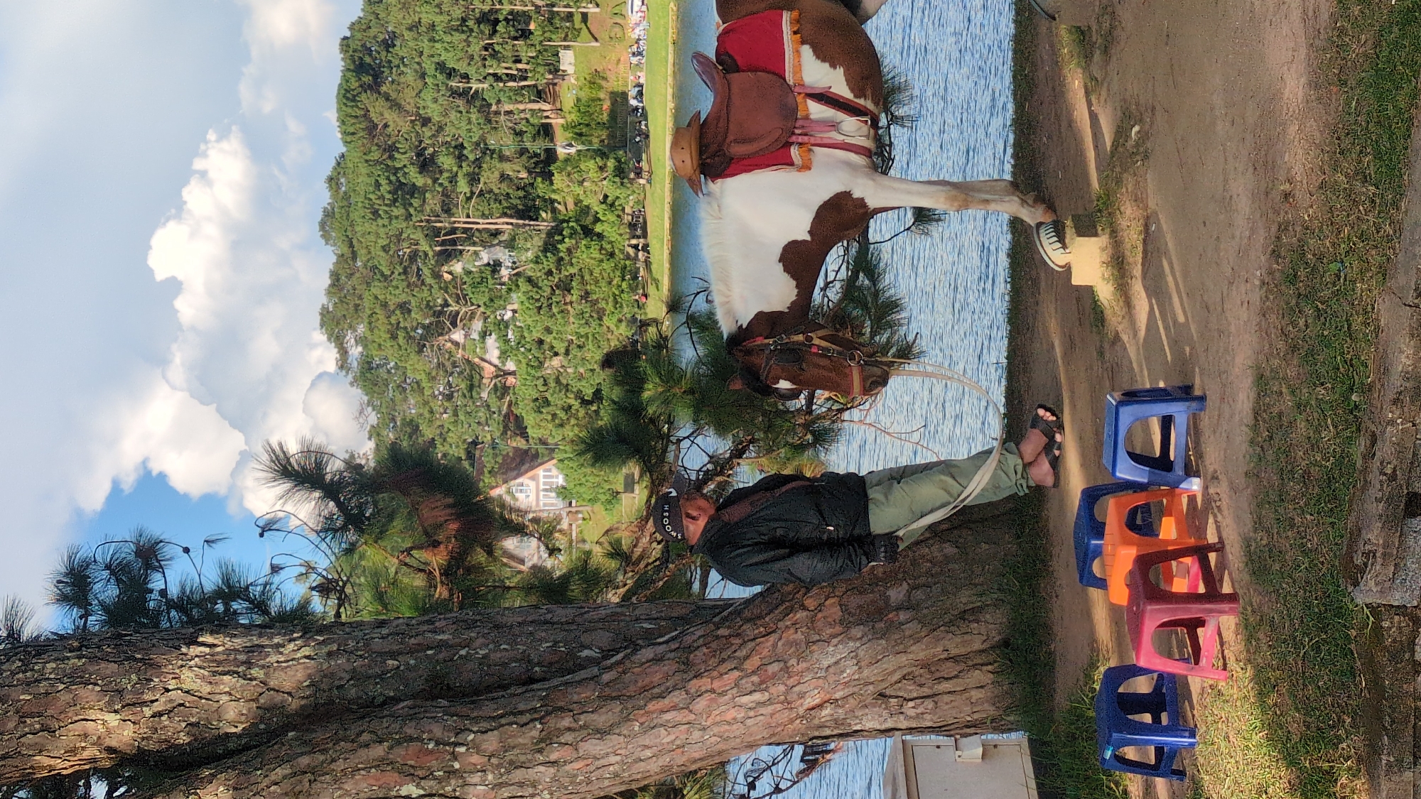A man wearing a dark jacket, light green pants, a black cap, and sandals stands leaning against a large tree next to a brown and white horse in Da Lat, Vietnam. The horse has a saddle and red blanket. Several colorful plastic stools are arranged on the ground in front of the man. In the background, a body of water, a wooded hillside with houses, and a cloudy sky are visible. The scene appears to be near Xuan Huong Lake.