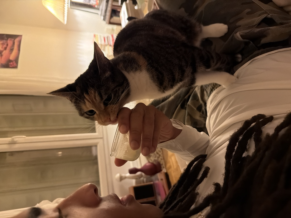 A calico cat stands on a person’s chest, reaching down to lick a small glass of white liquid held in the person’s hand. The person is lying down and facing the camera with their nose and mouth visible. The cat is positioned directly above the person’s face. The person is wearing a white long sleeve shirt and camouflage pants. The person has dreadlocks. A window and other objects can be seen in the background.