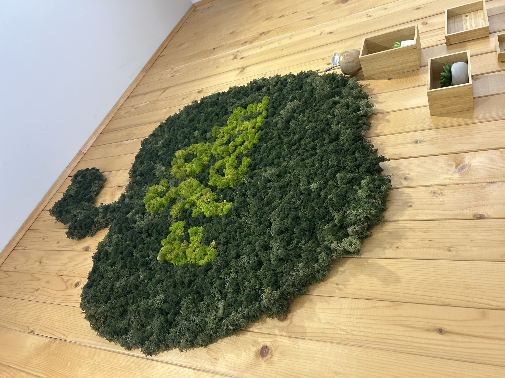 A close-up, wide-angle shot depicts a wall decoration on a wooden panel wall, possibly indoors, in an unknown location within an unknown city. The decoration is crafted from preserved moss in varying shades of green, shaped like a large leaf or amorphous form with a stem-like extension on the left. The moss is arranged in two main shades: a darker, deep green covering the majority of the shape, and a brighter, lime green arranged to form a distinct pattern within the larger shape.
To the right of the moss decoration are wooden boxes attached to the wall, appearing to be display shelves. One box contains a small, potted succulent plant, adding another natural element to the scene. Above the moss, near the upper right, is a decorative object, possibly an apple made of wood or stone with a silver stem.
The wooden panels of the wall run horizontally, their natural wood grain visible under the lighting. The color of the wood is a light, natural tone. The lighting appears diffused and even, illuminating the moss and wooden wall without strong shadows. The background is largely filled with the wooden wall and a small portion of a white wall above it.