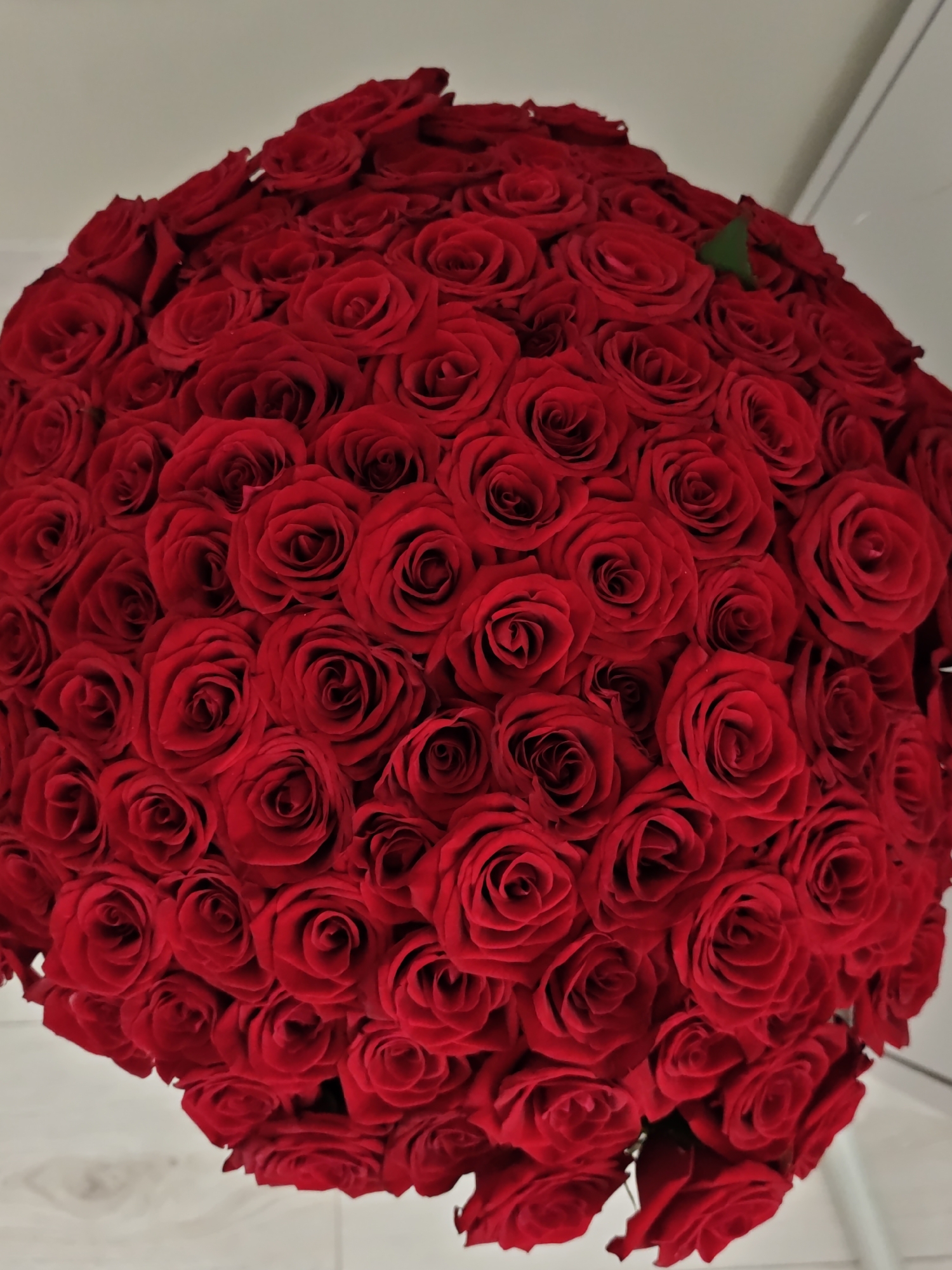 A very large, dense bouquet of vibrant red roses is presented, filling the majority of the frame. The roses are tightly packed, creating a rounded, almost spherical shape. The petals are a deep, rich red, with subtle variations in shade and texture visible on each bloom. Some roses are fully open, revealing their intricate centers, while others are more tightly budded. A single green leaf is visible near the top of the bouquet, providing a small contrast to the overwhelming red. The background is a neutral, light-colored wall, and a sliver of what appears to be a light-colored wooden floor is visible at the bottom of the image. There are no people, animals, or other objects present. The scene appears to be indoors, likely in a home or a floral shop. The location in the city of Vinnytsia, Ukraine, is not discernible from the visual information in the image itself.