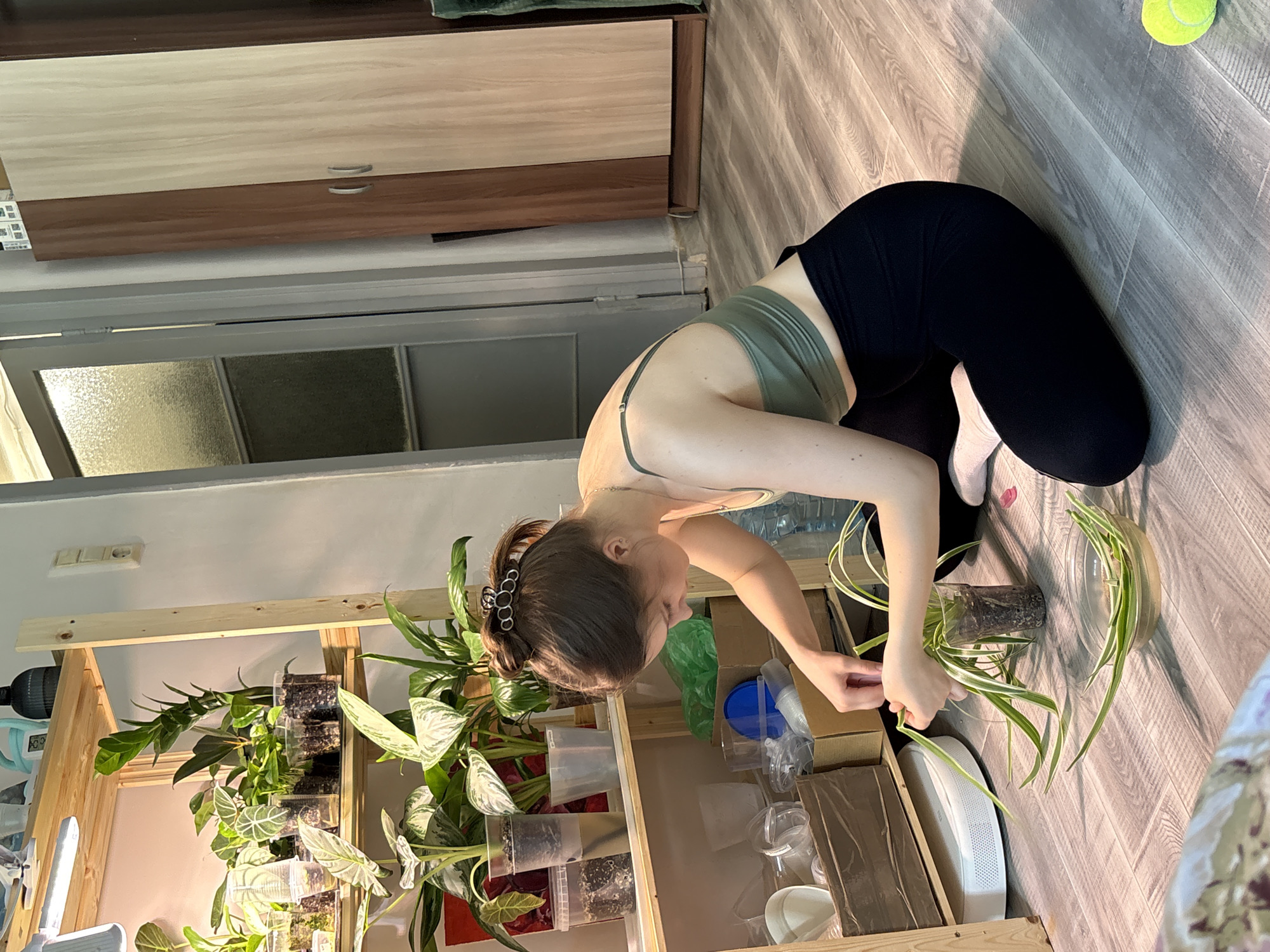 A young woman is sitting on a wooden floor next to a multi-tiered shelving unit filled with various houseplants. She is wearing a green sports bra and black leggings, and her hair is pulled up in a bun with a decorative clip. The woman is focused on a spider plant, holding its leaves and appearing to be propagating it in a glass of water. Several clear plastic cups containing plants and soil are visible on the shelves, along with other gardening supplies. Behind the shelving unit, a doorway with frosted glass panels is visible, and to the right, a tall wooden wardrobe stands against a plain wall. The overall scene suggests a domestic setting, possibly an apartment in Saint Petersburg, Russia, where the woman is engaged in plant care.