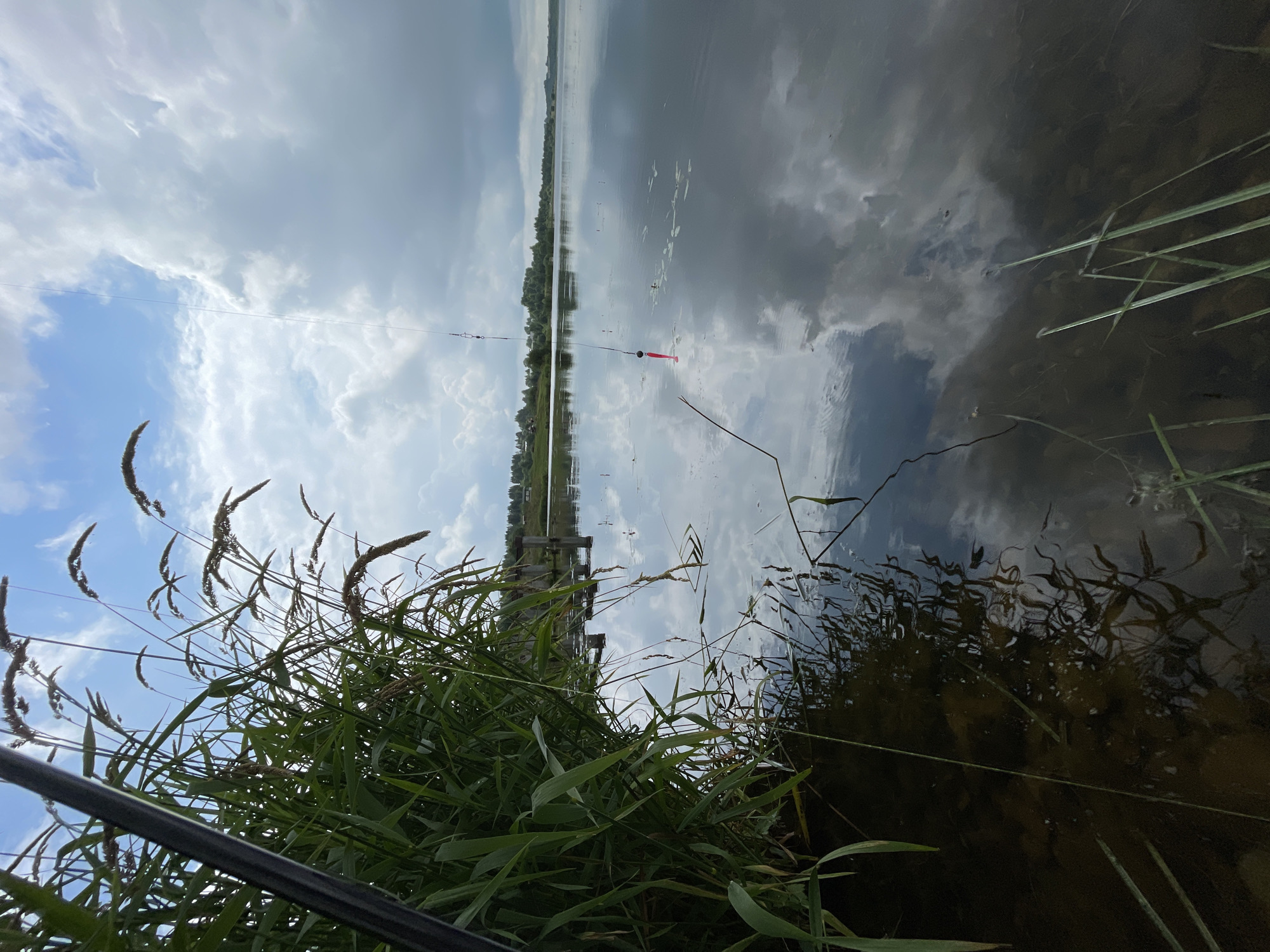 The image depicts a serene natural scene at a lake, likely located near the village of Kumyon, Russia, given the context. In the foreground, tall green reeds and grasses grow along the water's edge, their reflections shimmering on the calm surface of the lake. A fishing rod, partially visible on the left, extends into the frame. A fishing line hangs down from the sky, with a pink fishing lure attached, suspended just above the water. The lake is expansive, reflecting the cloudy sky above, with a distant treeline and structures visible on the opposite shore. The overall atmosphere is one of peaceful angling on a cloudy day.