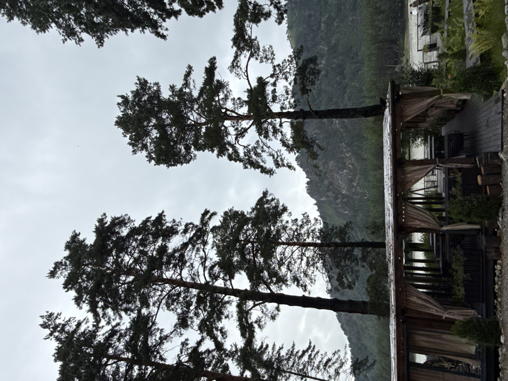A scenic outdoor dining area with a wooden roof and curtains is situated in front of a forest and river. Tall pine trees tower over the scene. In the background, a river flows past a lush green forest that covers a mountainous terrain. The sky is overcast and grey, suggesting a cloudy or rainy day. There are no visible people or any indication of activity within the dining area, nor in the surrounding environment. The location is identified as Nizhnekayancha, Russia.