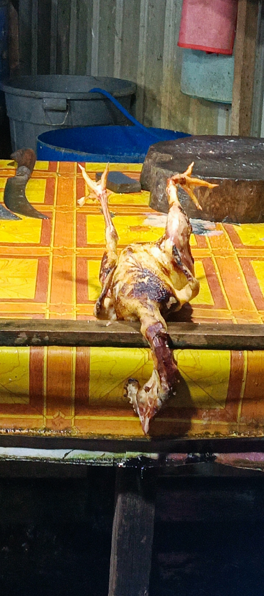 In Lamhasan, Indonesia, a raw chicken is displayed on a yellow and orange checkered surface. The chicken is positioned upside down, with its legs extended upwards and its head pointing downwards. The skin of the chicken shows signs of browning and charring, suggesting it may have been partially cooked or prepared for cooking. The checkered surface appears to be a tablecloth or a tarpaulin, laid out on a wooden table. In the background, a metal trash can and a blue bucket are visible, along with a wooden structure and a chopping board. The overall scene suggests a marketplace or food stall setting, likely in a rural or semi-urban area of Indonesia.