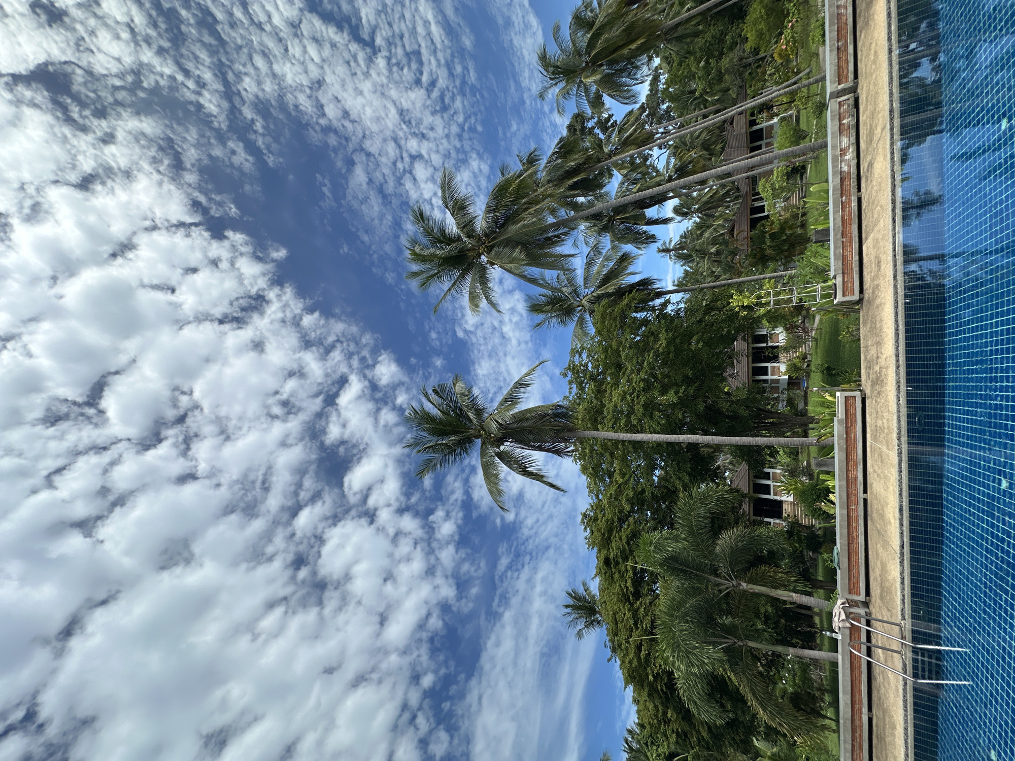 The image depicts a tropical outdoor scene, likely at a resort in Baan Lipa Noi, Thailand. In the foreground, a bright blue swimming pool with a tiled bottom is visible, featuring reflective water and a silver metal ladder entering from the left. Beyond the pool is a concrete walkway and a raised planter with brick accents. A line of palm trees with green fronds dominates the mid-ground, interspersed with lush green foliage and trees. In the background, several bungalows with dark roofs and light-colored walls are nestled among the trees. The sky is a vibrant blue, filled with scattered white clouds. The overall impression is one of a serene, sun-drenched vacation spot.