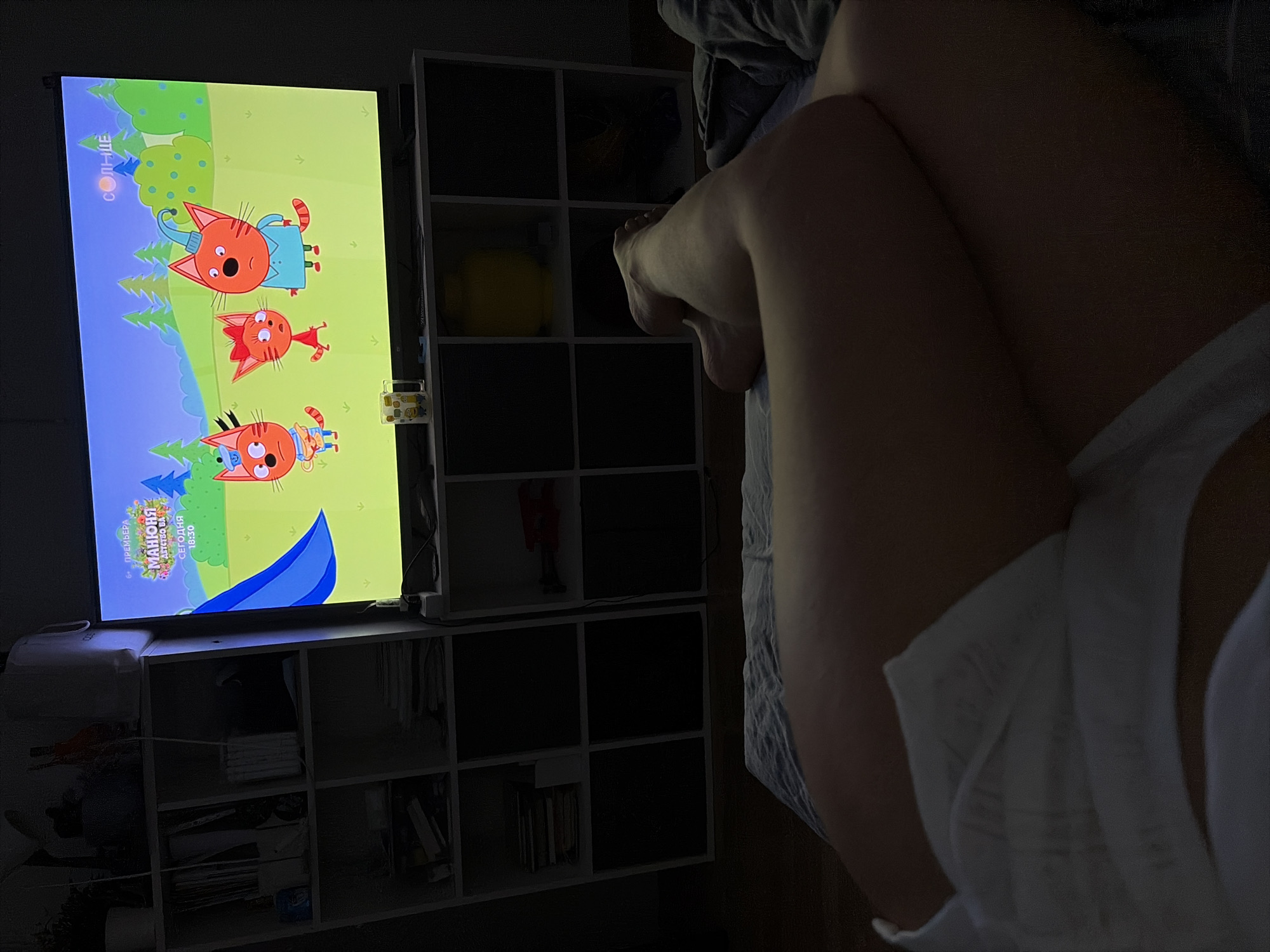 A television displays a children's cartoon on a white shelving unit. The cartoon depicts three orange cats on a green and blue background. The shelving unit contains books, toys, and other items. A person's legs and torso are visible on the right side of the image. The location is likely in a private residence in the city of Chaikovsky, Russia, based on the cartoon being in Russian.