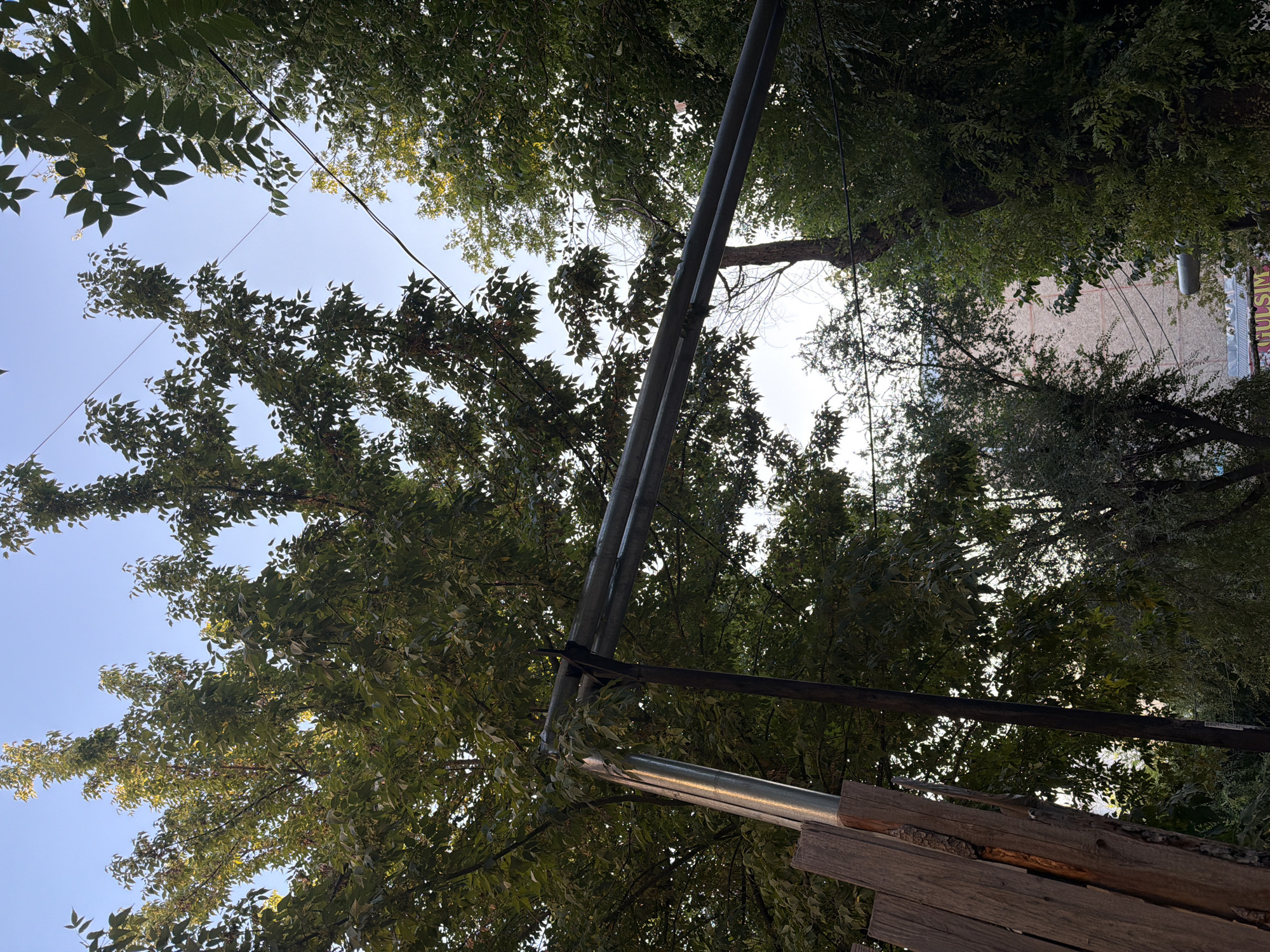 The image depicts an outdoor scene under a clear blue sky, with lush green foliage from trees dominating the frame. A section of a wooden fence is visible on the left, appearing weathered and leaning. Two parallel metal pipes are suspended horizontally across the middle of the image, supported by dark vertical poles. In the background, a building with a light-colored facade is partially visible through the trees. The overall impression is that of an urban environment interspersed with natural elements, likely in Shymkent, Kazakhstan. There are no people or animals visible in the image.