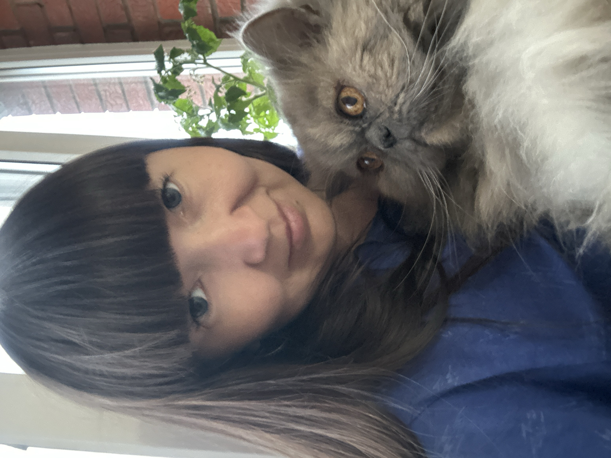 In a close-up, waist-up selfie, a woman with dark, straight bangs and long dark hair is holding a fluffy grey cat. The woman is wearing a blue shirt. She is smiling gently, and her eyes are looking towards the camera. The cat, which appears to be a Persian breed, is nestled against her chest, its head turned to the side, looking slightly off-camera. The cat has large, amber-colored eyes and prominent white whiskers. The background shows a window with natural light filtering in, and a glimpse of a brick wall and some greenery. The overall impression is one of a casual, affectionate moment between a woman and her pet. The specific location in Chaikovsky, Russia, is not discernible from the image itself.