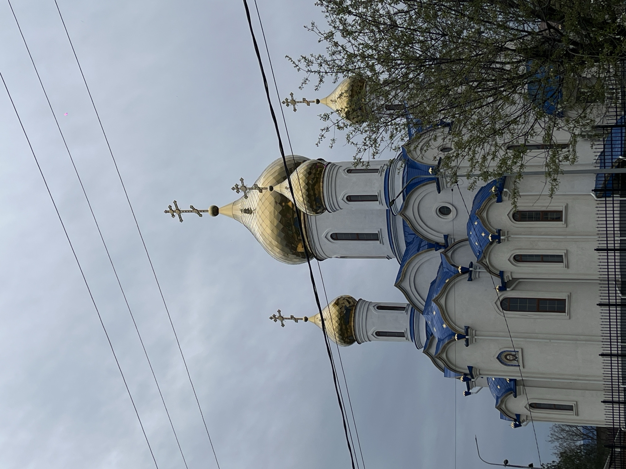 The image captures a view of a Russian Orthodox church, likely located in the city of Novopokrovskaya, Russia. The church's architecture features white walls, blue roofing with golden stars, and golden domes topped with Orthodox crosses. Power lines are visible in the foreground against an overcast sky. A tree with budding leaves is also partially visible. A fence is partially visible to the right. The building looks tall, with multiple stories visible.