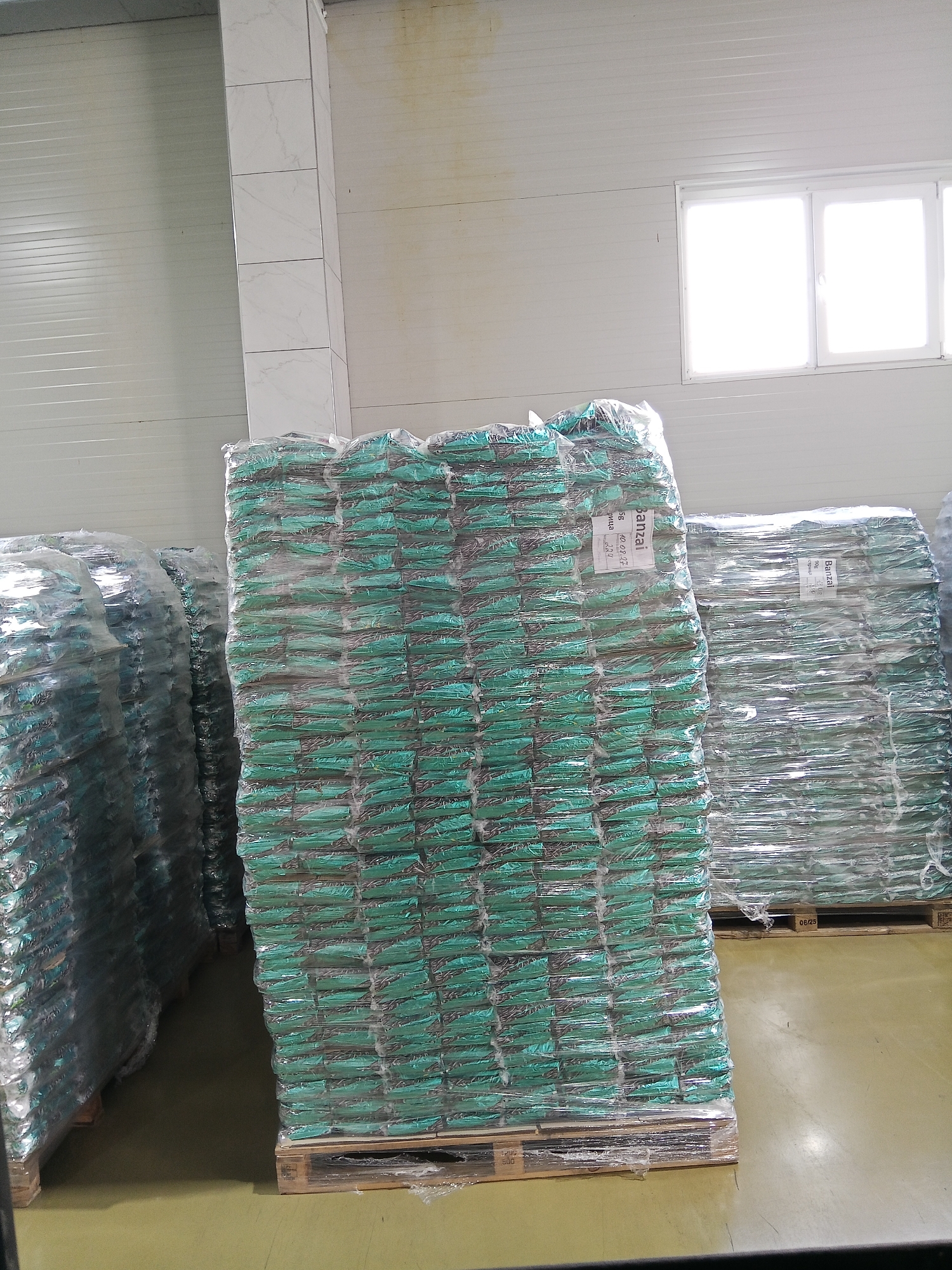 The image depicts the interior of a warehouse or storage facility in Ceadîr-Lunga, Moldova. Large stacks of products, wrapped in clear plastic, are arranged on pallets. The products appear to be bags, predominantly green in color, stacked high. Some labels are visible on the packaging, including one that reads "Banzai" and a date. The warehouse walls are light-colored and ribbed, with a tiled column visible on the left. A window with multiple panes is present on the upper right wall, letting in bright light. The floor is a smooth, light-colored surface. There are no people visible in the image. The scene is orderly and suggests a commercial storage environment.