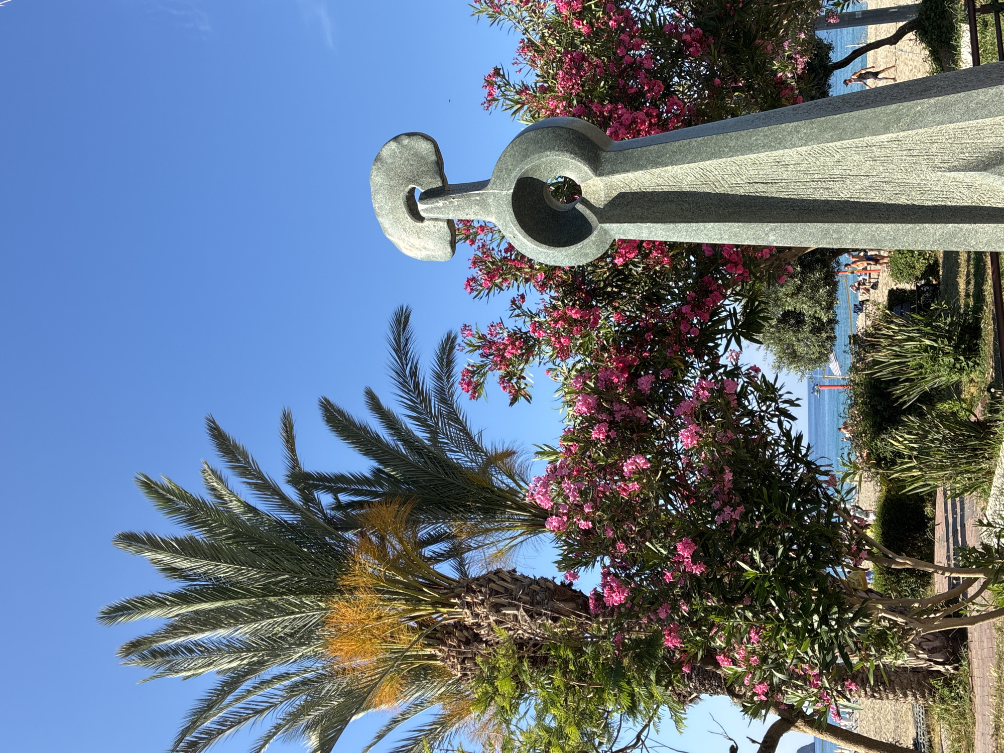 This bright and sunny image captures a vibrant coastal scene in Alanya, Turkey. In the foreground, a striking, abstract modern sculpture crafted from grey stone stands prominently on the right side. It features bold, geometric shapes, including a large circular cutout and a smaller, distinctively shaped element at its top.
To the left, a tall palm tree with broad green fronds and clusters of yellowish-orange fruit or seeds adds to the tropical ambiance. Lush bushes adorned with numerous vivid pink flowers, likely oleanders, frame the sculpture and the palm tree, providing a beautiful contrast against the blue sky.
Beyond the foreground vegetation, the sparkling blue sea meets a sandy beach. Several people are visible on the shore, enjoying the pleasant weather; one person stands closer to the water on the right, while a small group relaxes further down the beach.
The sky is clear and bright blue, suggesting a sunny day, likely mid-morning or afternoon. The overall scene conveys a sense of relaxation and leisure typical of a Mediterranean resort. No visible text is present in the image.