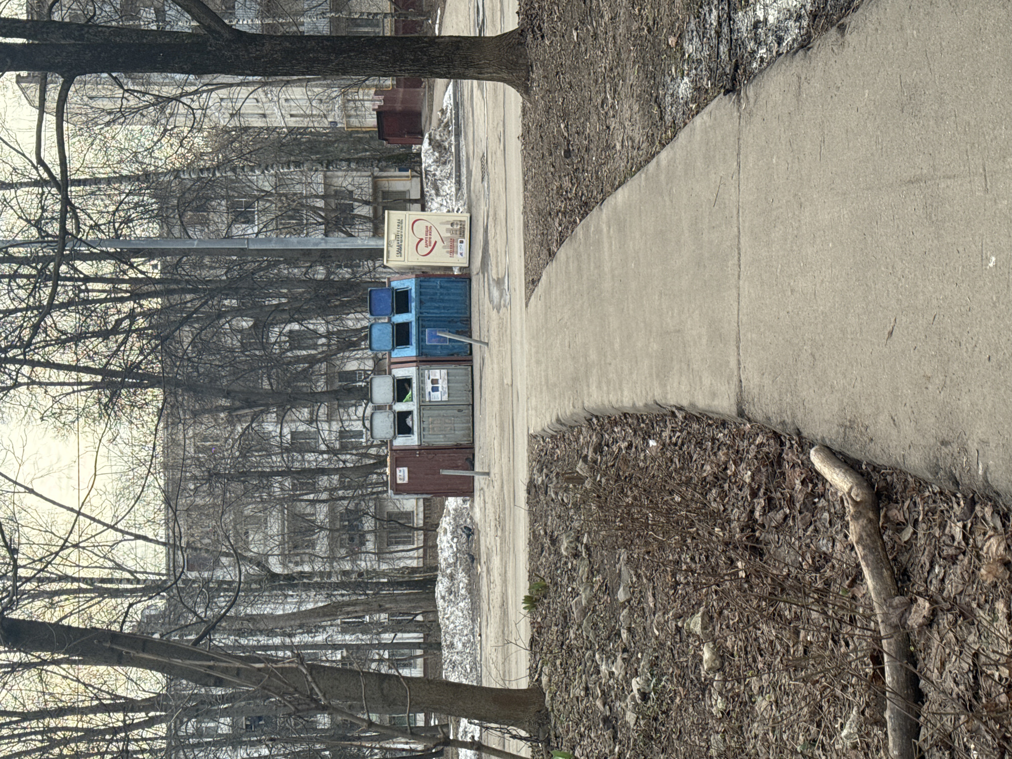 The image depicts an exterior urban scene in a residential area of Moscow, Russia, during what appears to be late winter or early spring. A concrete pedestrian path, light grey in color, curves from the lower right foreground towards the upper center-left of the frame. To the left of the path, the ground is covered with dry, brown fallen leaves, small stones, and exposed soil, with a thick, light-colored tree branch lying horizontally near the bottom edge. Small green plant shoots are visible emerging from the ground in the lower-left corner.
In the midground, a cluster of five large, rectangular waste or recycling bins stands on an unpaved patch of ground. From left to right, these include one dark reddish-brown bin, two grey bins, and two blue bins. The tops of the two grey and two blue bins are propped open, revealing their interiors. Adjacent to the rightmost blue bin, a white rectangular standee displays Cyrillic text, including "СДАВАЙТЕ СЮДА" (Donate here) and "ДАРЯ ВЕЩАМ НОВУЮ ЖИЗНЬ" (Giving clothes new life), along with a red heart graphic, indicating a collection point, likely for clothing.
To the left of the waste bins, a substantial mound of partially melted snow rests on the ground. Several dark-colored birds, consistent with pigeons, are scattered on the unpaved ground near the snow pile and the bins. The background is densely populated with numerous bare-branched deciduous trees, obscuring much of the view. Beyond the trees, multiple multi-story, light-colored residential buildings with visible windows are partially discernible under an overcast sky. A utility pole is also visible amidst the trees. No people are present in the scene.