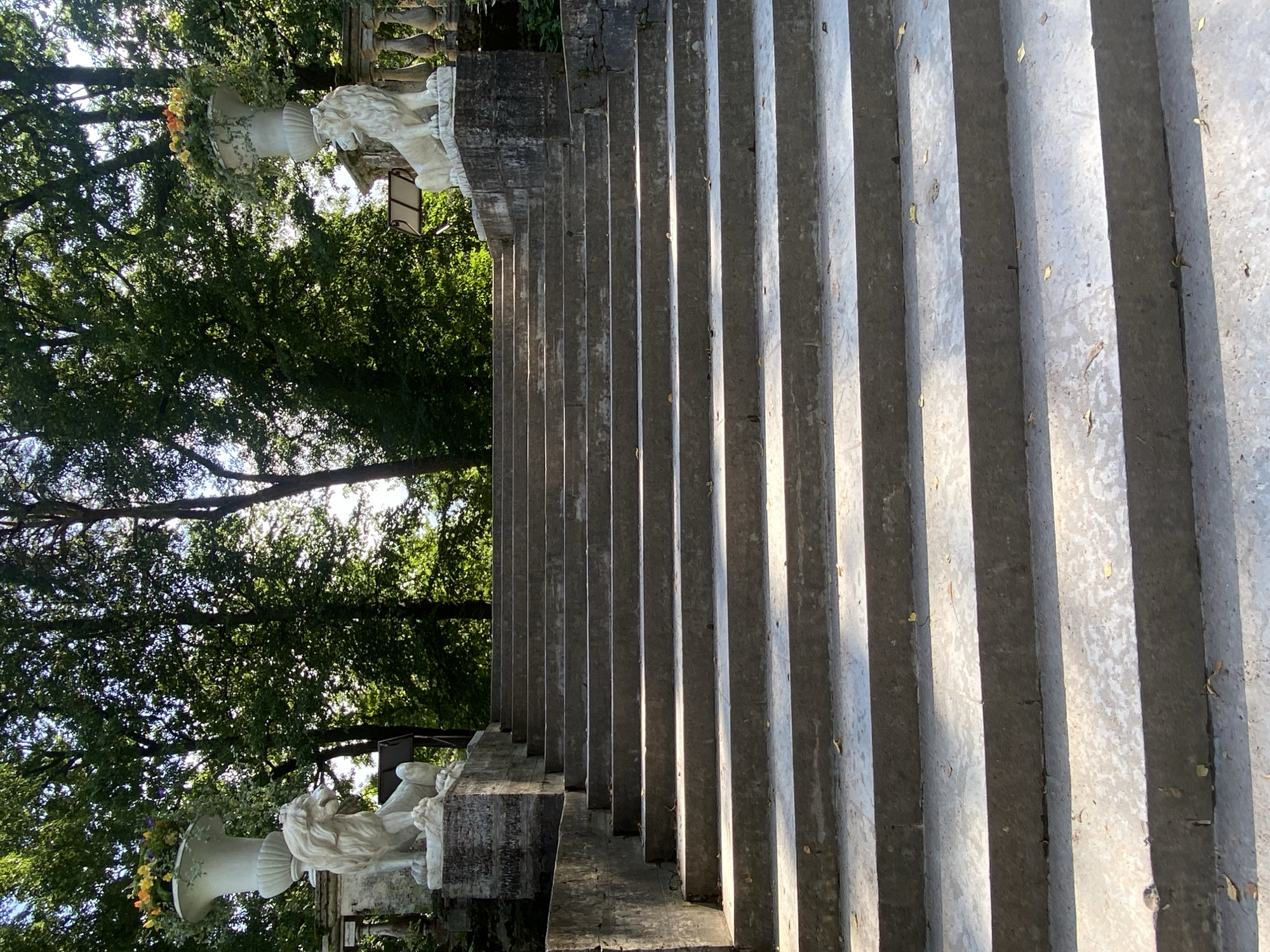 A grand stone staircase ascends a gentle slope, flanked by lush green trees and illuminated by dappled sunlight. Two large white stone lion statues, each seated atop a stone pedestal and beside a decorative urn overflowing with colorful flowers, guard the entrance to the staircase from the top on either side. The staircase itself is wide and constructed of weathered stone, with visible signs of age and use, including some scattered leaves on the steps. In the background, through the dense foliage, glimpses of a bright sky can be seen. The scene appears to be an outdoor public space, likely a park or garden, given the statuary and manicured greenery. This specific staircase and lion sculptures are located at the Grand Palace in Pavlovsk, Russia.