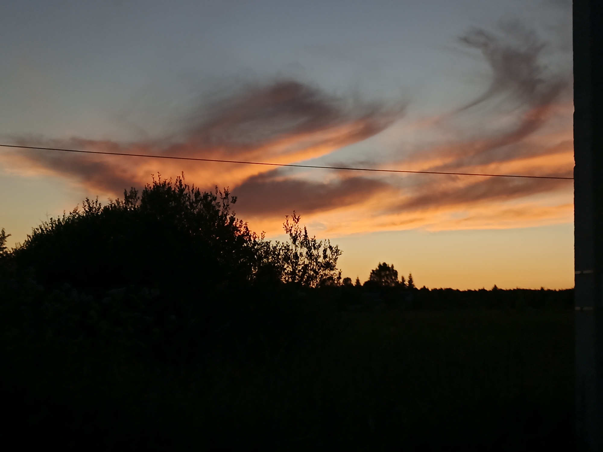 A silhouetted landscape with a striking sunset is depicted. The sky displays a gradient of colors, transitioning from a pale blue at the top to vibrant orange and yellow hues near the horizon. Wispy clouds are illuminated by the setting sun, creating dramatic streaks of pink and orange. In the foreground, a dark silhouette of trees and foliage forms a dense line across the bottom half of the image. A thin, dark horizontal line, possibly a wire or power line, stretches across the frame in the upper portion, just above the treetops. The overall scene suggests a rural or semi-rural setting, likely in Воскресенское, Russia, during twilight.