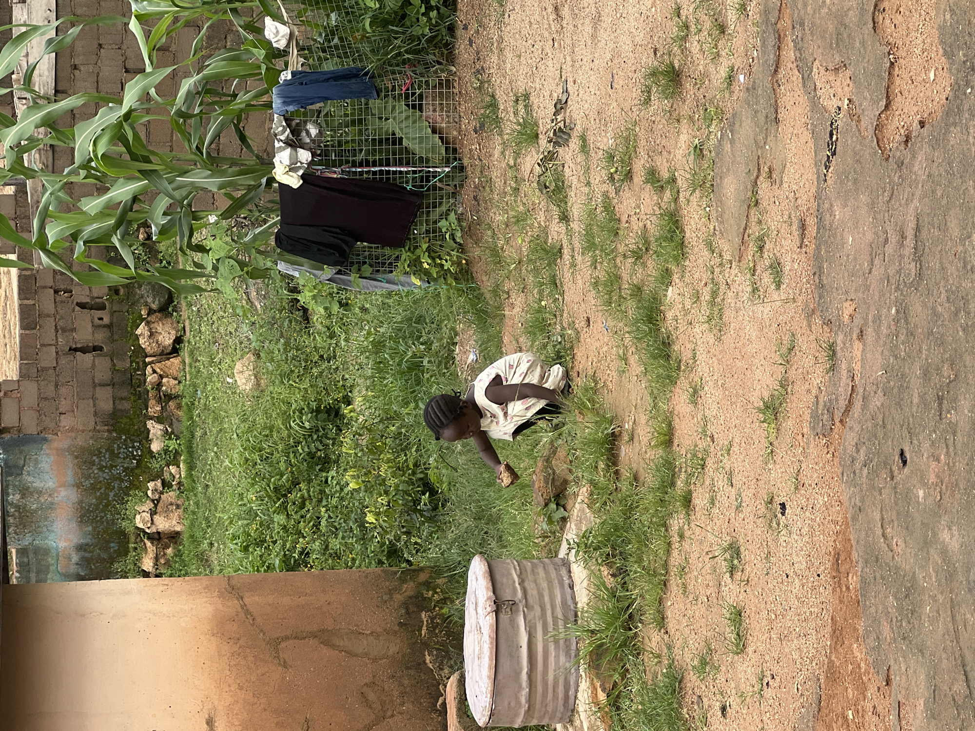 A young child, appearing to be of African descent and wearing a white dress with a light pattern, is crouched on sandy ground next to a cylindrical, grey metallic object with a hinged lid. The child is holding a small brown object in their right hand, as if examining or playing with it. In the background, there is overgrown green vegetation, including tall corn stalks. A wire mesh fence with several pieces of clothing hanging on it is visible behind the child and vegetation. A textured, light-colored wall is to the left of the frame, and a brick wall is visible further back. The ground is a mix of sand and patches of cracked concrete, with sparse green grass growing in places. The scene appears to be an outdoor residential area in a warm climate, consistent with a location in Jos, Nigeria.