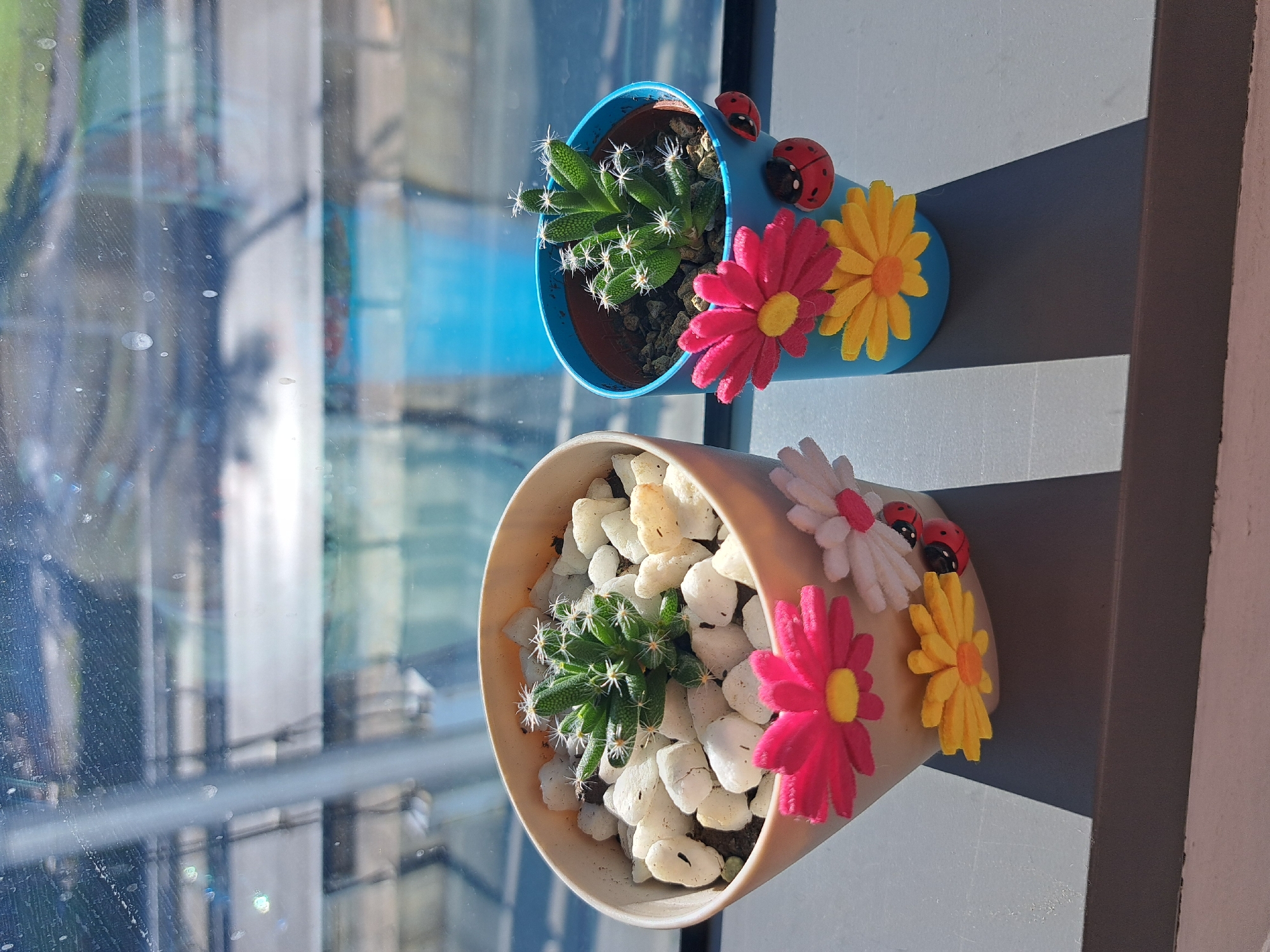 The image shows two potted succulents on a windowsill, with a blurred cityscape visible through the window. The succulent on the left is in a tan pot and features a small cactus with white spines, surrounded by white stones. The pot is decorated with felt flowers in pink, white, and yellow, along with two ladybug embellishments. The succulent on the right is in a blue pot, containing a similar cactus with white spines. This pot is also adorned with felt flowers, one pink and one yellow, and two ladybug embellishments. The scene is brightly lit, suggesting daytime. The urban background through the window appears to be a complex of buildings and structures, possibly a business district or industrial area, with hints of greenery. The lighting and angle suggest the photo was taken from inside a building, looking outwards onto a sunny day. The image does not contain any specific identifiable landmarks or details that would allow for a precise location within Sofia, Bulgaria, beyond it being an urban setting.