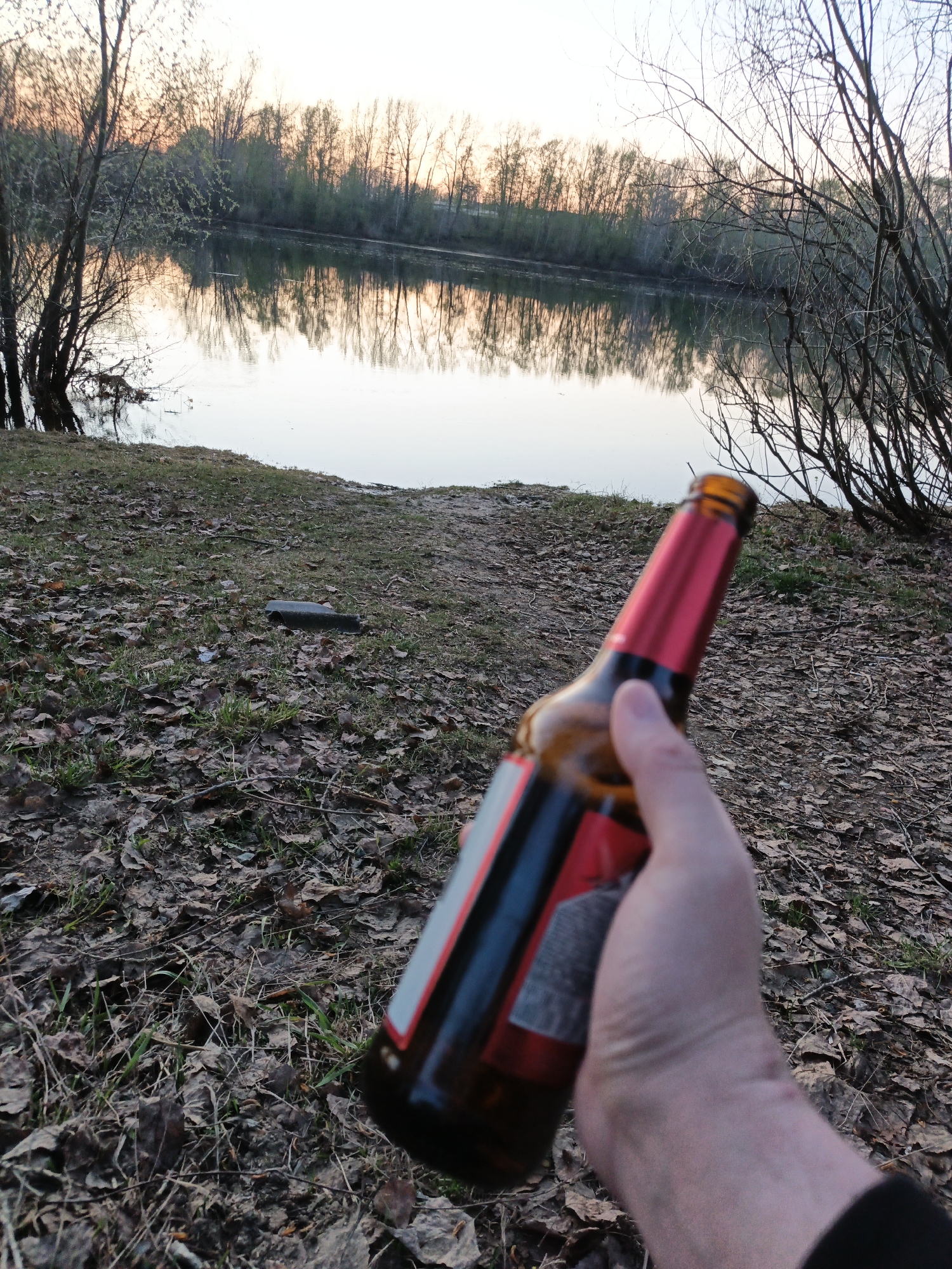 A person holds a bottle in their right hand, obscuring a portion of the view. The bottle has a red neck and a dark body with a light-colored label. The hand is pale with visible veins. The foreground consists of a ground covered in dry leaves and scattered patches of green vegetation.
In the midground, there is a body of water, appearing to be a river or lake, with reflections of trees on the opposite bank visible on the water's surface. A small strip of sandy or grassy bank separates the water from the leafy foreground.
The background shows a line of trees with sparse foliage, silhouetted against a pale, possibly sunset-colored sky.
Based on the environment and visual cues, this location is likely to be a park or natural area in Chaikovsky, Russia, near a body of water.