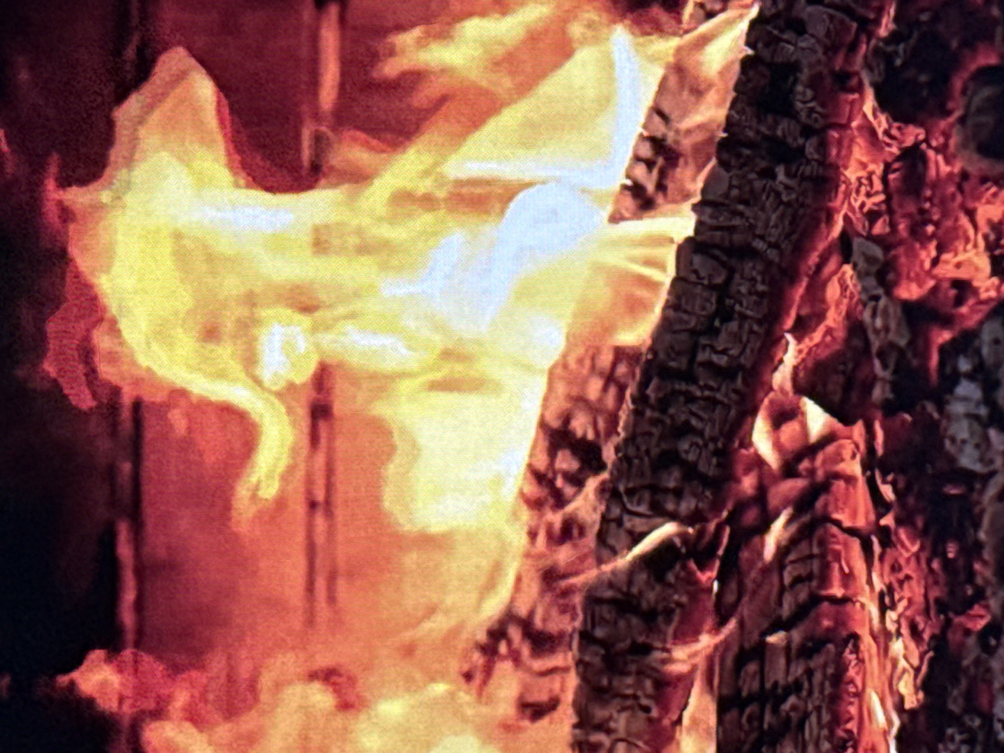 The image displays a close-up view of a roaring fire with burning logs. Flames in shades of yellow and orange dominate the scene, with some areas of white and blue indicating intense heat. The logs are charred and smoldering, resting at the bottom of the frame. The background appears to be a dark, possibly brick or metal surface, also glowing with heat from the fire. There are no people or animals visible in the image. The scene is consistent with a campfire, fireplace, or industrial furnace. There is no visual information in the image that could indicate the location is Norilsk, Russia.