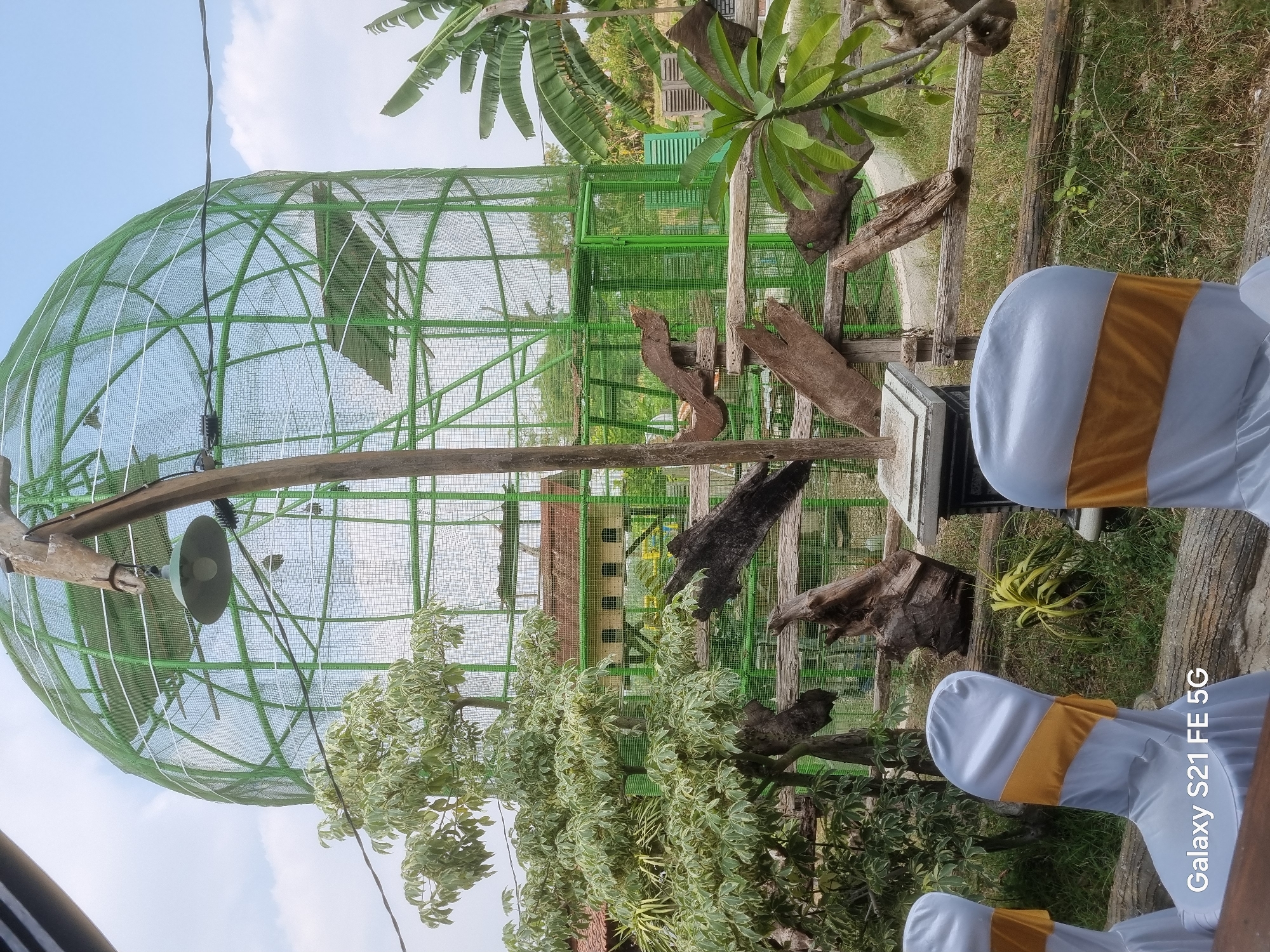 The image depicts an outdoor scene, likely in Banjarjo, Indonesia, featuring a large green aviary. The aviary is a prominent structure, with a dome-like shape and a fine mesh exterior, suggesting it houses birds. Inside, there are some structures that appear to be shelters or nesting boxes. In the foreground, several chairs are covered with white fabric and adorned with yellow sashes, indicating a setting for an event or dining. Wooden logs are strategically placed around the area, some serving as part of a fence or decorative elements. A street lamp with a distinctive wooden pole is also visible. To the right, banana trees are present, characteristic of tropical environments. The overall atmosphere suggests a zoo, bird park, or a similar recreational facility.