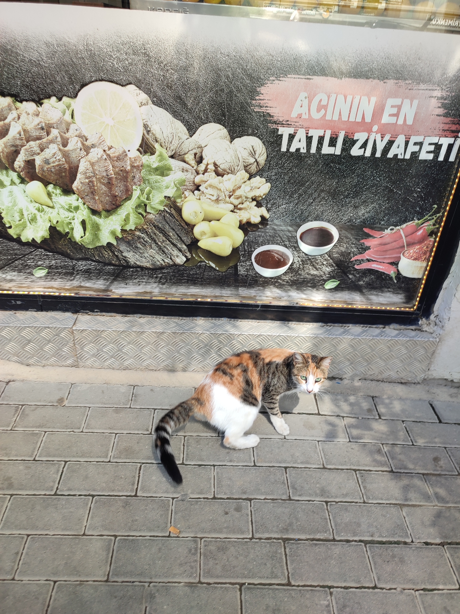 A calico cat with green eyes is walking on a paved sidewalk in front of a storefront. The cat is facing the camera and appears to be looking directly at the viewer. Behind the cat, a large window display features a graphic of food items, including what appears to be some sort of meat dish, lemons, walnuts, peppers, and sauces. Text on the display reads "ACININ EN TATLI ZİYAFETİ." The storefront is likely in Kadıköy, Turkey, given the Turkish text on the display. The sidewalk is made of rectangular pavers, and a metal grate is visible along the bottom edge of the storefront. The lighting suggests it is daytime, with shadows cast on the sidewalk.