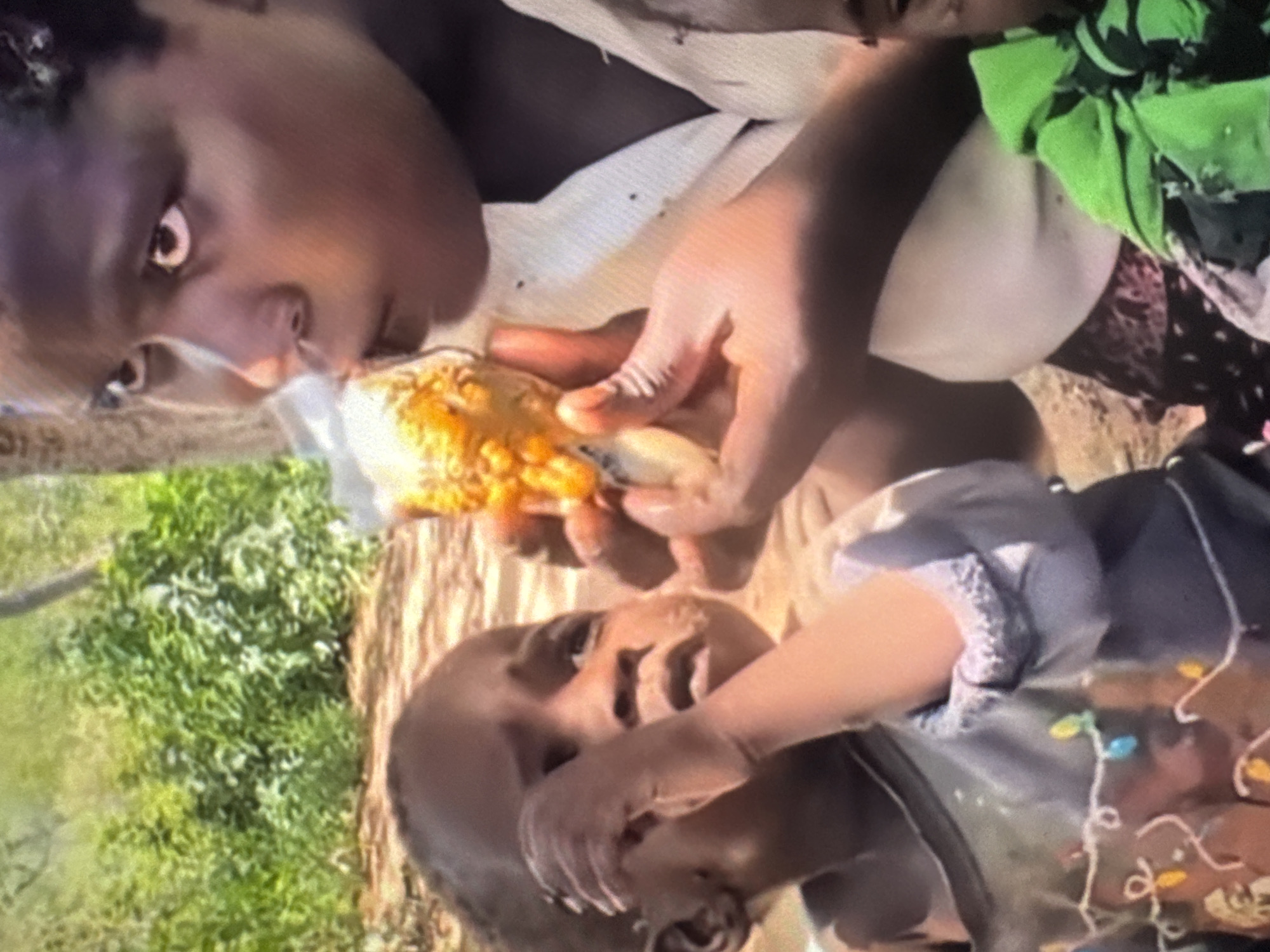 The image shows a close-up of two children and an adult. A young child on the left is looking towards the camera with one hand near their face. This child is wearing a grey shirt decorated with colorful lights. To the right, an adult is holding a piece of food, possibly corn, and bringing it towards their mouth. The adult is wearing a white top. Another child in a green garment is partially visible on the far right. The background appears to be outdoors with greenery and trees. The ground is sandy or dusty. The lighting suggests it is daytime. No specific landmarks or context are provided to identify the location as Abuja, Nigeria.