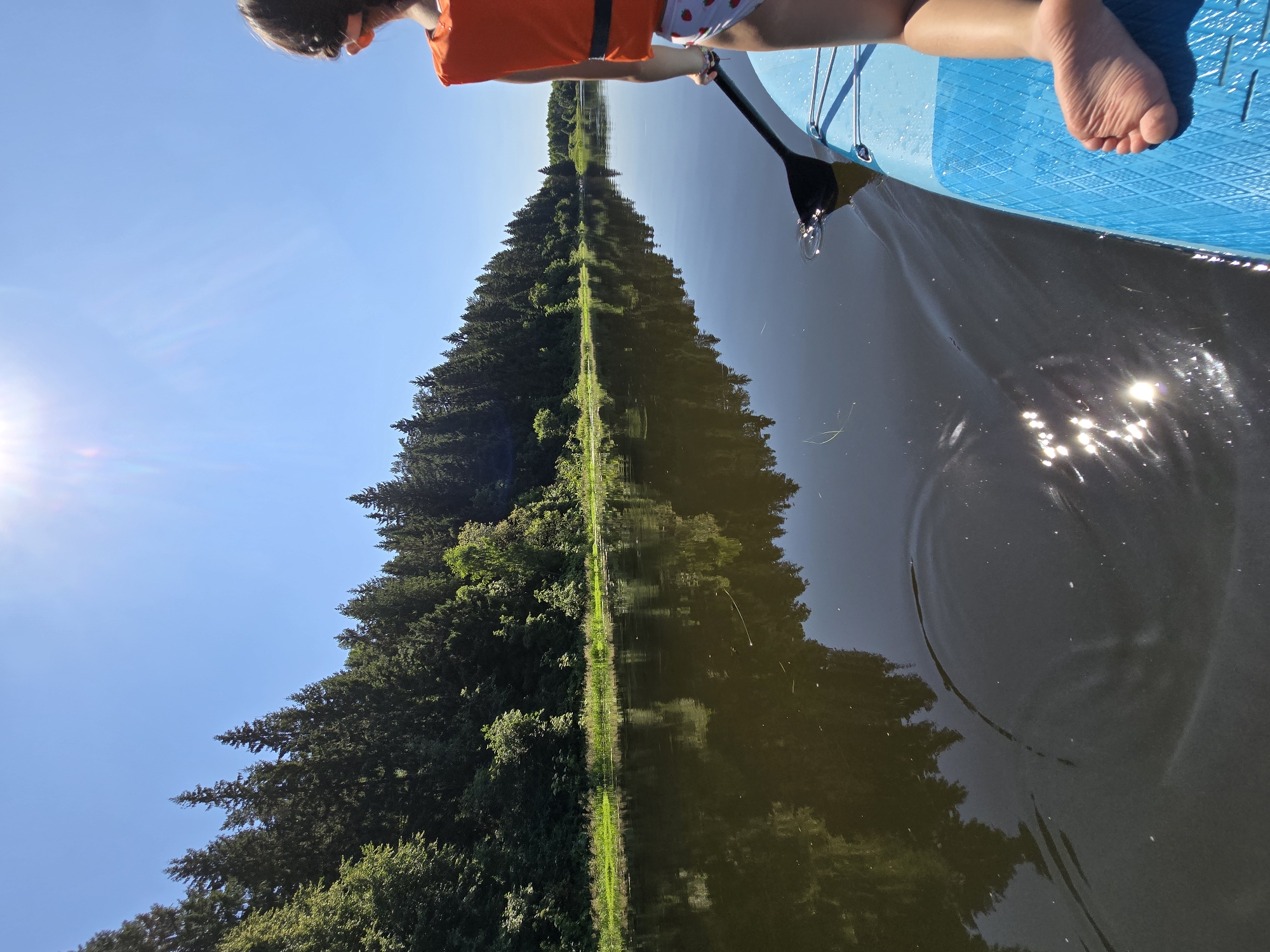 The image shows a person on a blue paddleboard in a calm river on a sunny day. The person, a child wearing an orange life vest and patterned shorts, is holding a black paddle. The river reflects a dense green forest that lines the bank. The sky is clear blue with the sun shining brightly. This scene is located on the Sestra River in the village of Lobkovo, Russia.