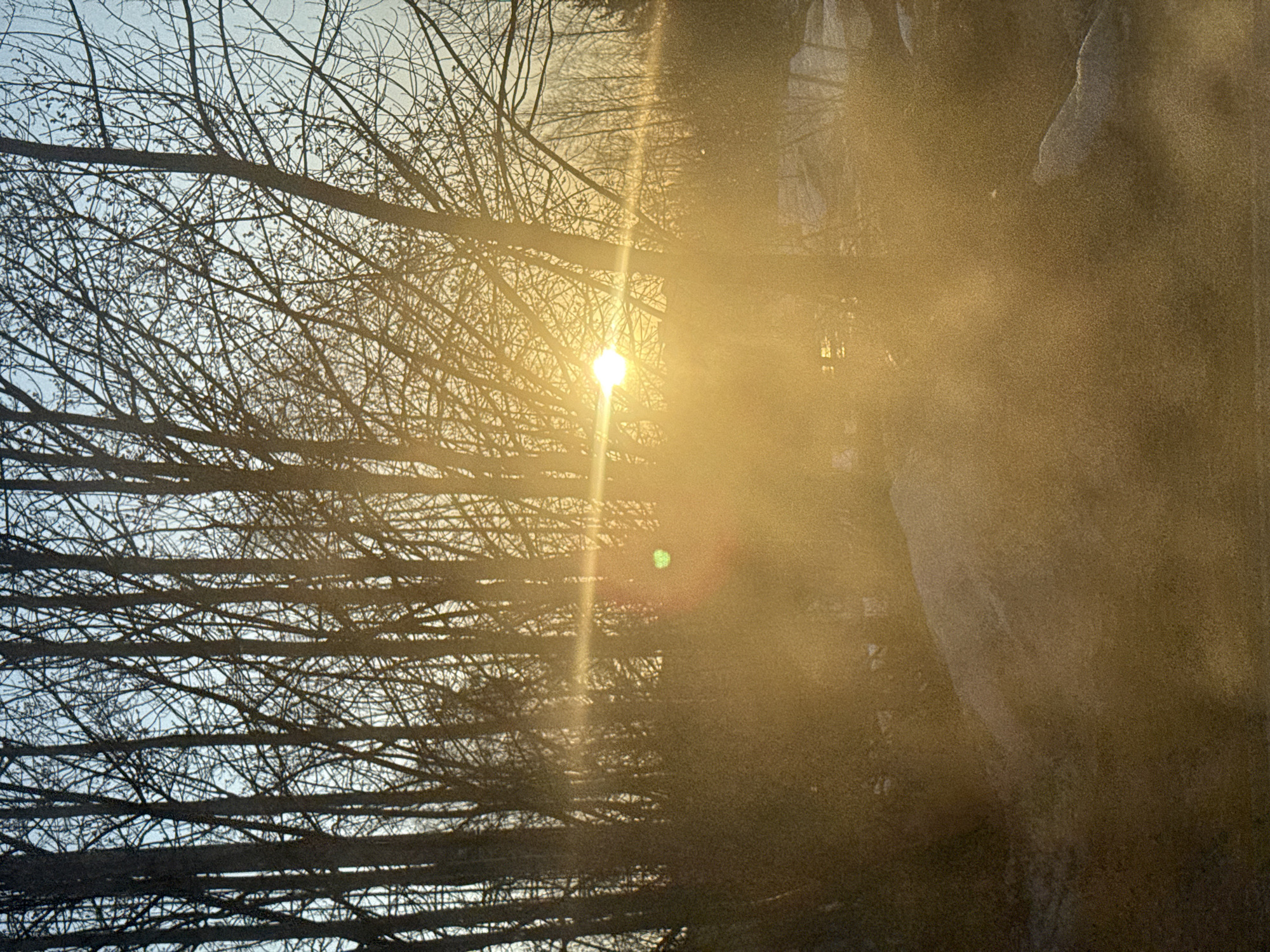 The image depicts a winter scene in Chaikovsky, Russia, as indicated by the barren deciduous trees silhouetted against a bright, diffused sunlight. The sunlight is positioned in the center of the frame, partially obscured by the branches of the trees, casting a strong glare and creating a lens flare effect. To the right, a darker, out-of-focus area suggests the presence of buildings or structures. The sky is visible through the branches as a pale blue or white. The overall mood is cold and stark, but also somewhat tranquil due to the sun shining through the branches.