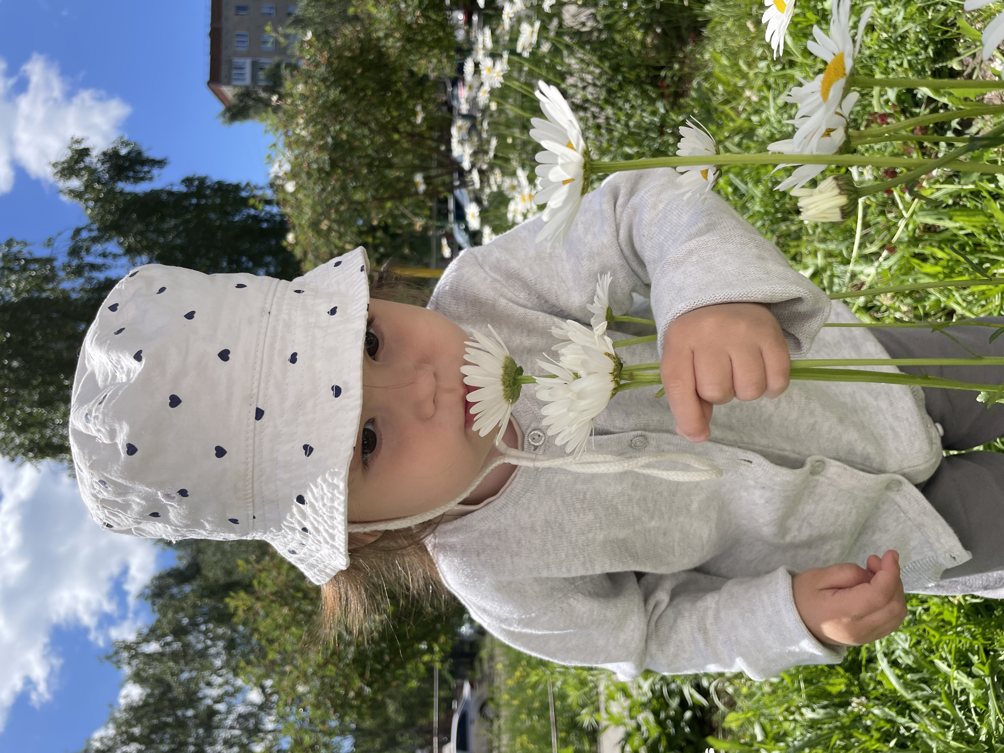 In the city of Izhevsk, Russia, a young child wearing a white bucket hat adorned with dark hearts, a grey cardigan, and grey pants is positioned in a field of daisies on a bright, sunny day. The child is holding a bunch of white daisies and appears to be smelling them. The background shows lush green grass, more daisies, trees, and a building. The sky is blue with scattered white clouds. The image is a close-up shot, focusing on the child and the flowers.