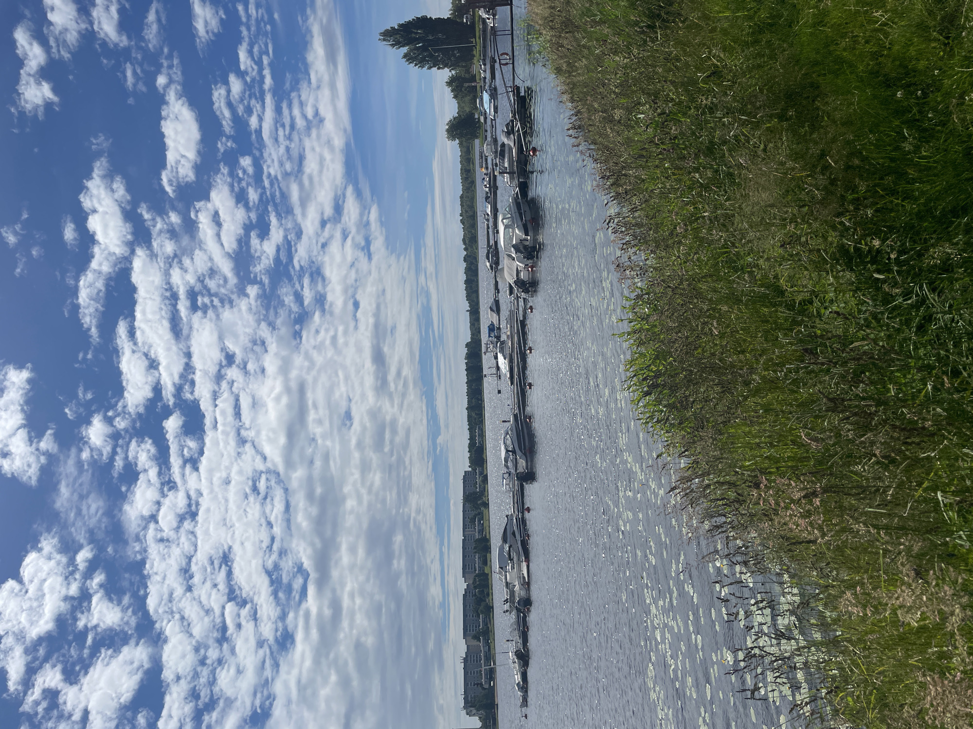 The image shows a sunny day in Karlstad, Sweden, with a clear blue sky dotted with fluffy white clouds. The scene is a marina on a lake, likely Lake Vänern, given the location. In the foreground, tall green grass and reeds grow along the grassy bank. The lake itself is calm, with numerous boats docked along a pier. The boats are of various sizes and types, mostly white, and appear to be modern speedboats and smaller motorboats. Some have their covers on, while others are open. Red buoys are visible in the water. In the middle ground, a line of apartment buildings stretches across the horizon, interspersed with trees. The architecture of the buildings suggests a residential area. The overall impression is one of a peaceful and pleasant summer day in a lakeside city.