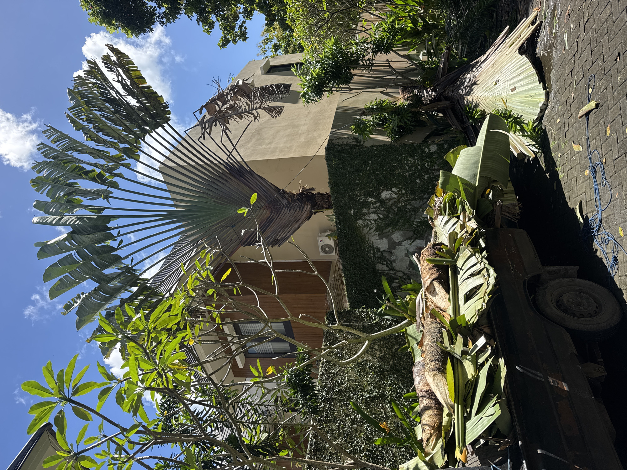 The scene captures an upward view of a building exterior amidst tropical foliage. The location is Kuta Selatan, Indonesia, indicated by the presence of a Ravenala madagascariensis, also known as a Traveler's Palm. The building is a multi-story structure with a mix of beige rendered walls and wooden cladding, with visible air conditioning units. Vines cover a section of the wall. A blue sky with scattered clouds is visible above. In the foreground, various trees and plants with green leaves obscure part of the view. On the ground appears to be part of a weathered vehicle. The image suggests an area with a blend of residential or commercial buildings and dense tropical vegetation.