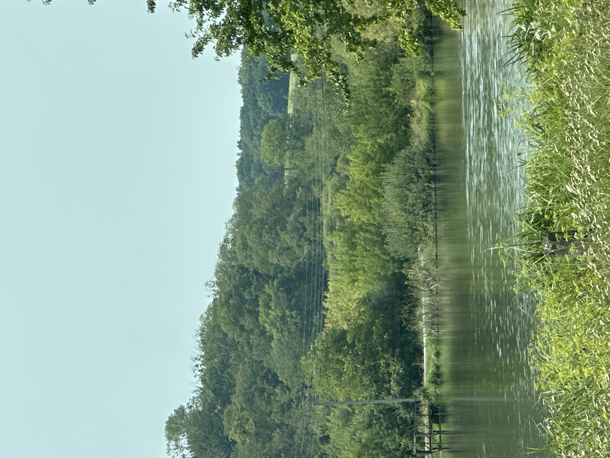 The image depicts a serene natural landscape with a body of water in the foreground, likely a river or lake, reflecting the bright, clear sky. The water's surface is rippled, suggesting a gentle breeze. Along the bank of the water, lush green vegetation and tall grasses grow, with some smaller white flowers interspersed.
Beyond the water, a gently sloping hill is densely covered with a variety of green trees, creating a textured forest canopy. Power lines are visible stretching horizontally across the mid-ground, supported by a pole on the left side of the image. On the far left of the water's edge, a small wooden structure, possibly a pier or a dock, extends slightly into the water. The overall impression is one of a tranquil, rural setting.
The location is identified as the city of Makiv, Ukraine. Given the natural elements, this scene could be a park, a rural area outside the main urban center, or a recreational spot within or adjacent to Makiv. The presence of power lines suggests a degree of human infrastructure in the vicinity, even within this natural environment.