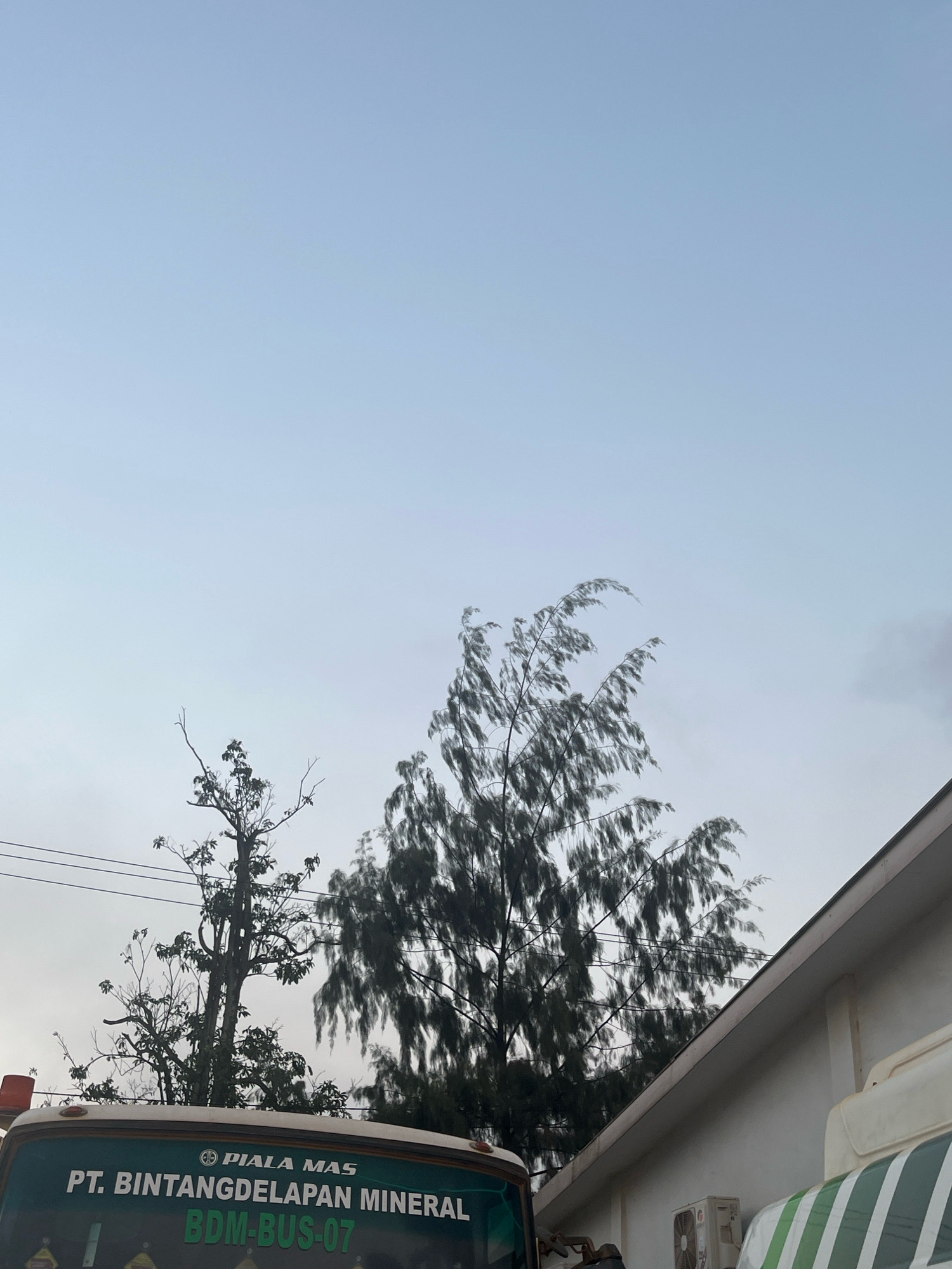 The image shows the top portion of a green and white bus with text that reads "PT. BINTANGDELAPAN MINERAL BDM-BUS-07". The bus is parked outdoors, with trees and a building visible in the background. The sky is overcast and appears to be early morning or late afternoon. The location is in the city of Unknown, Indonesia.