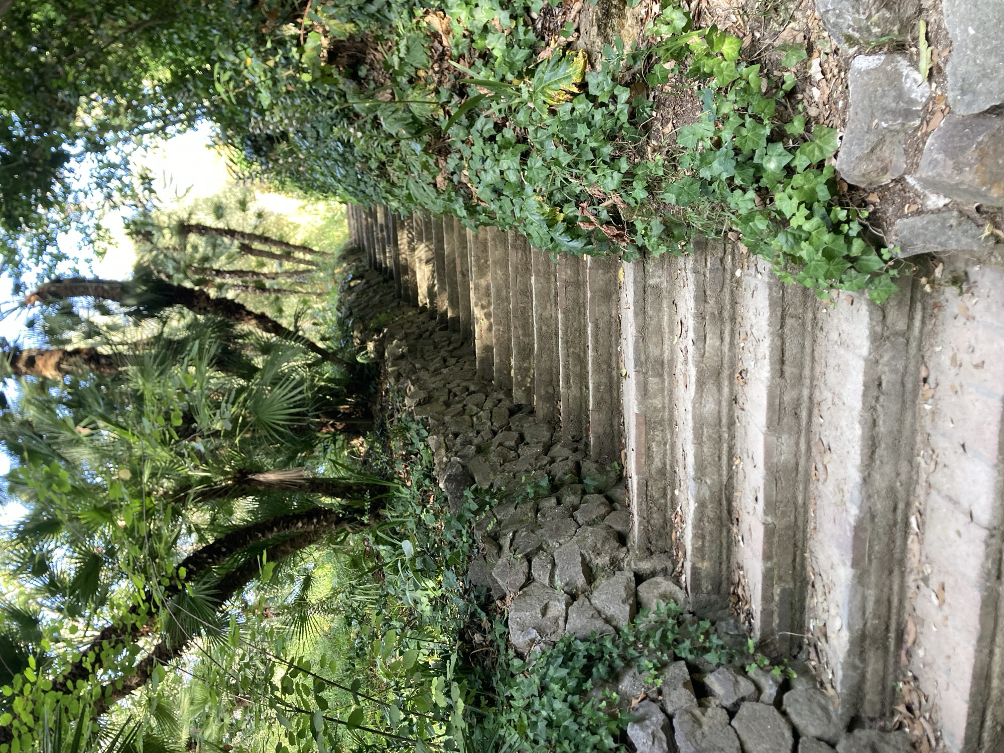 An upward view of a stone staircase in a lush, green garden setting, likely in Barcelona, Spain. The stairs are made of weathered stone and concrete, with some brickwork visible. They are lined on the left by a rustic stone wall covered in ivy, and on the right by a dense embankment of greenery, also featuring ivy. Palm trees and other foliage are visible in the background, suggesting a warm climate and a park-like environment. The scene is illuminated by sunlight filtering through the trees, creating dappled light and shadows. No people are present in the image.