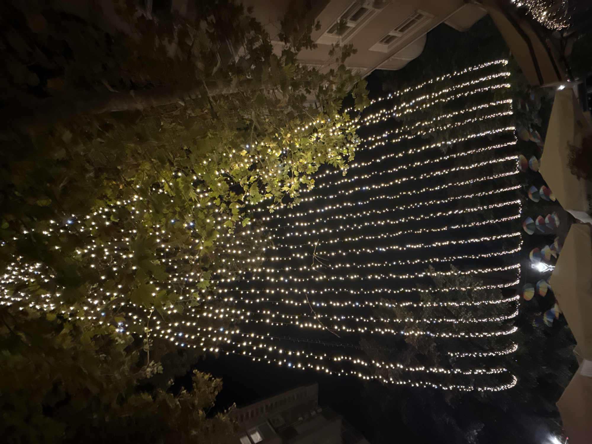 The image depicts an outdoor scene at night, likely in the city of Burgas, Bulgaria, as indicated by the presence of a large tree adorned with numerous strings of warm white fairy lights. These lights cascade down from the branches, creating a dense, curtain-like effect. The foliage of the tree, illuminated by the lights, appears a yellowish-green hue.
In the background, building facades are visible, suggesting an urban environment. On the lower portion of the image, several colorful, closed umbrellas are scattered, adding a touch of vibrancy to the scene. Some market stalls or canopies are also present, with their tops visible. The overall impression is one of festive outdoor decoration, possibly for a holiday or event. There are no people clearly visible in the frame. The lighting is predominantly from the artificial strings of lights, with ambient light from the surrounding buildings contributing to the illumination of the scene.