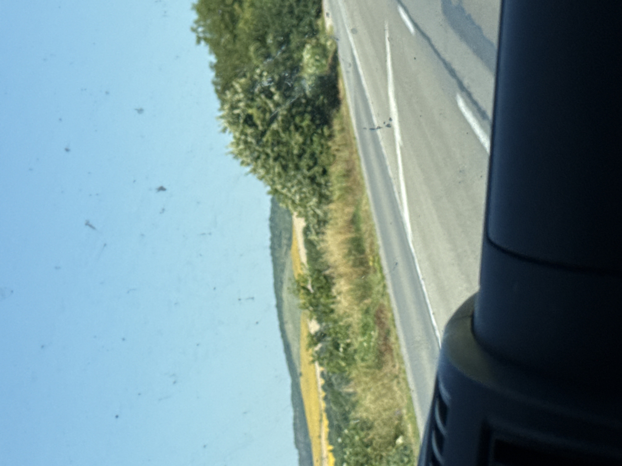 The image captures a view from inside a vehicle, looking out at a rural landscape on a sunny day. The foreground is dominated by the dark interior of the vehicle, likely a dashboard or car door. Beyond the vehicle, a paved road with white lane markings stretches into the distance. To the left of the road, a hillside is covered in green vegetation and what appears to be a field of yellow flowers, possibly sunflowers, indicating the location is near Osenets, Bulgaria, during the blooming season. The sky is a clear, light blue with a few scattered specks, likely dust or debris on the vehicle's window. The overall scene suggests a scenic drive through the Bulgarian countryside.