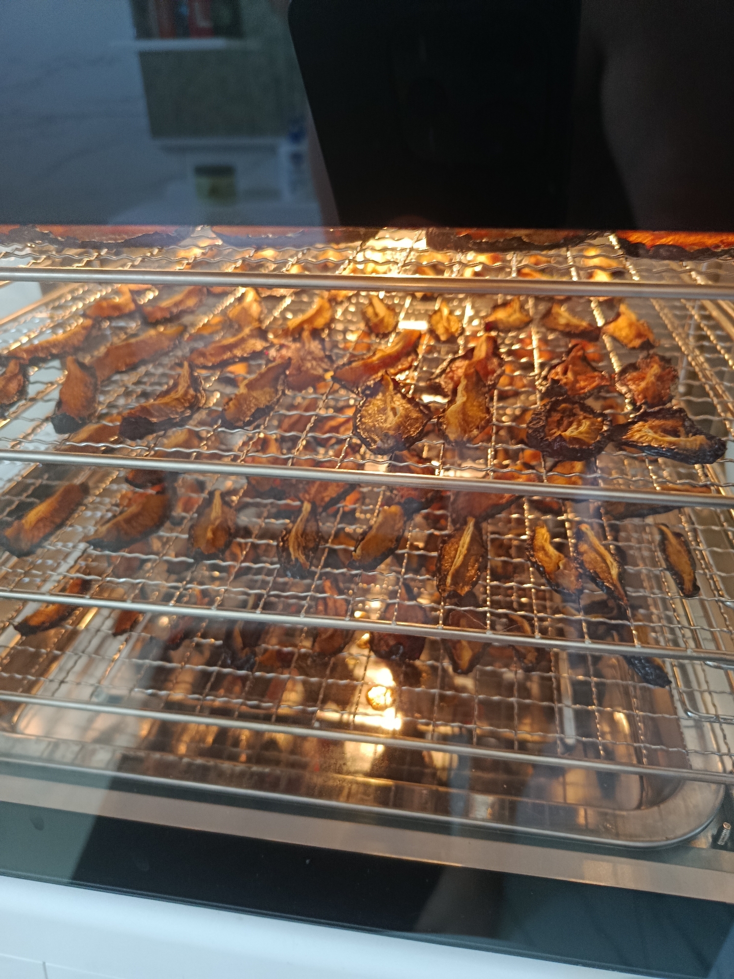 A rack of dehydrated food sits inside an oven in the city of Vyselki, Russia. The food, appearing to be sliced fruit or vegetables, is arranged in a single layer on a silver metal rack, which is supported by two horizontal metal bars. The food is a deep brown and reddish color, with some pieces appearing shriveled and crispy. The oven interior is illuminated by a warm, yellow light. The rack is made of a mesh metal grid, with a larger metal grid below it that appears to be another rack. A reflective metal tray is visible at the bottom of the oven. The oven door is made of glass, revealing the contents within. In the background, through the glass, a dimly lit room is visible with a dark shape that may be a person.
