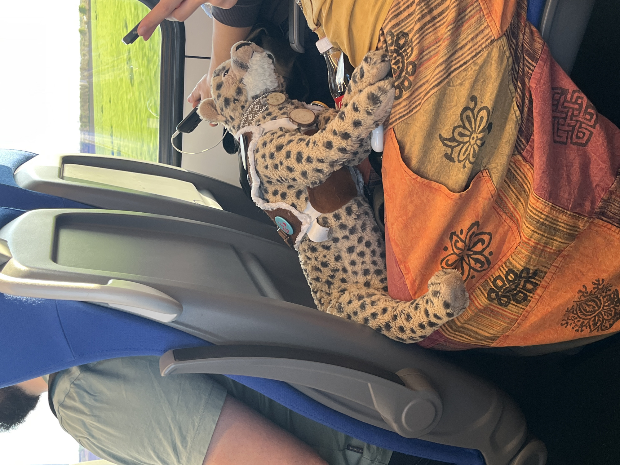 The image shows a stuffed cheetah toy seated on a train seat next to a person wearing an orange and yellow patchwork jacket. The cheetah is adorned with a necklace and other decorations. The seat is blue and grey. Outside the train window is a green field. The train is traveling through Stara Pazova Municipality, Serbia.