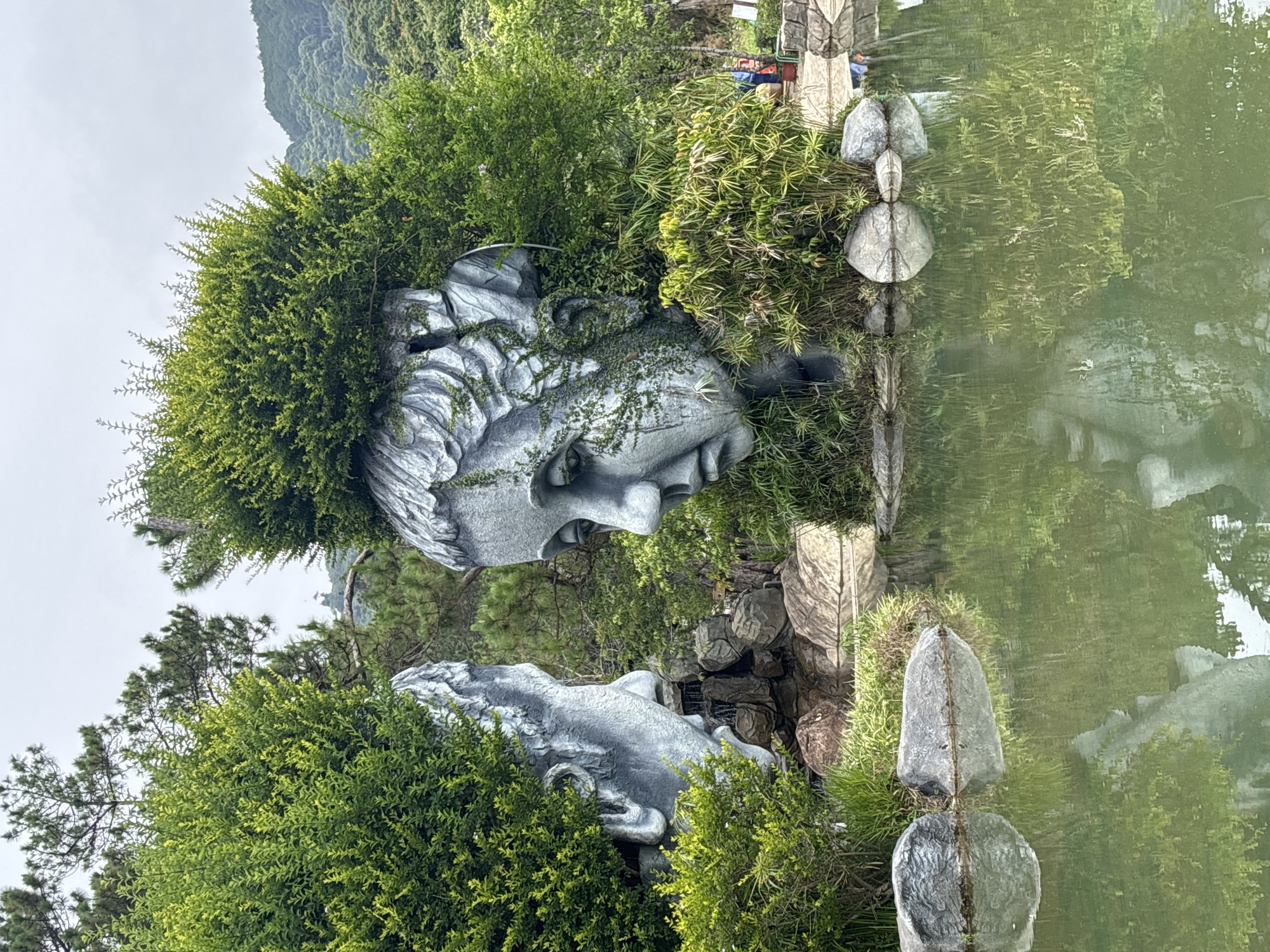 The image depicts an artistic outdoor landscape, likely a sculptural garden, in Da Lat, Vietnam. The main subjects are two large, weathered stone sculptures of human heads, reminiscent of classical Greek or Roman styles. The most prominent head, positioned on the right side of the frame, faces left and is heavily integrated with its natural surroundings, partially covered by dense green bushes and vines. A second, less distinct head sculpture is visible further left, also embraced by lush greenery.
These sculptures are situated at the edge of a calm body of water, likely a pond or lake, which beautifully reflects the overhead trees and the diffused light from the sky. Along the water's edge, various smooth, rounded rock formations are present, some resembling turtle shells. In the background, verdant, rolling mountains rise under an overcast sky, indicating a daytime scene with soft, ambient lighting and no harsh shadows.
The scene portrays a tranquil and static environment, where art and nature converge. The sculptures appear ancient and well-established within the landscape. No specific human activity is ongoing, and there is no visible text. The overall impression is one of serene beauty and the harmonious blending of constructed art with natural elements.