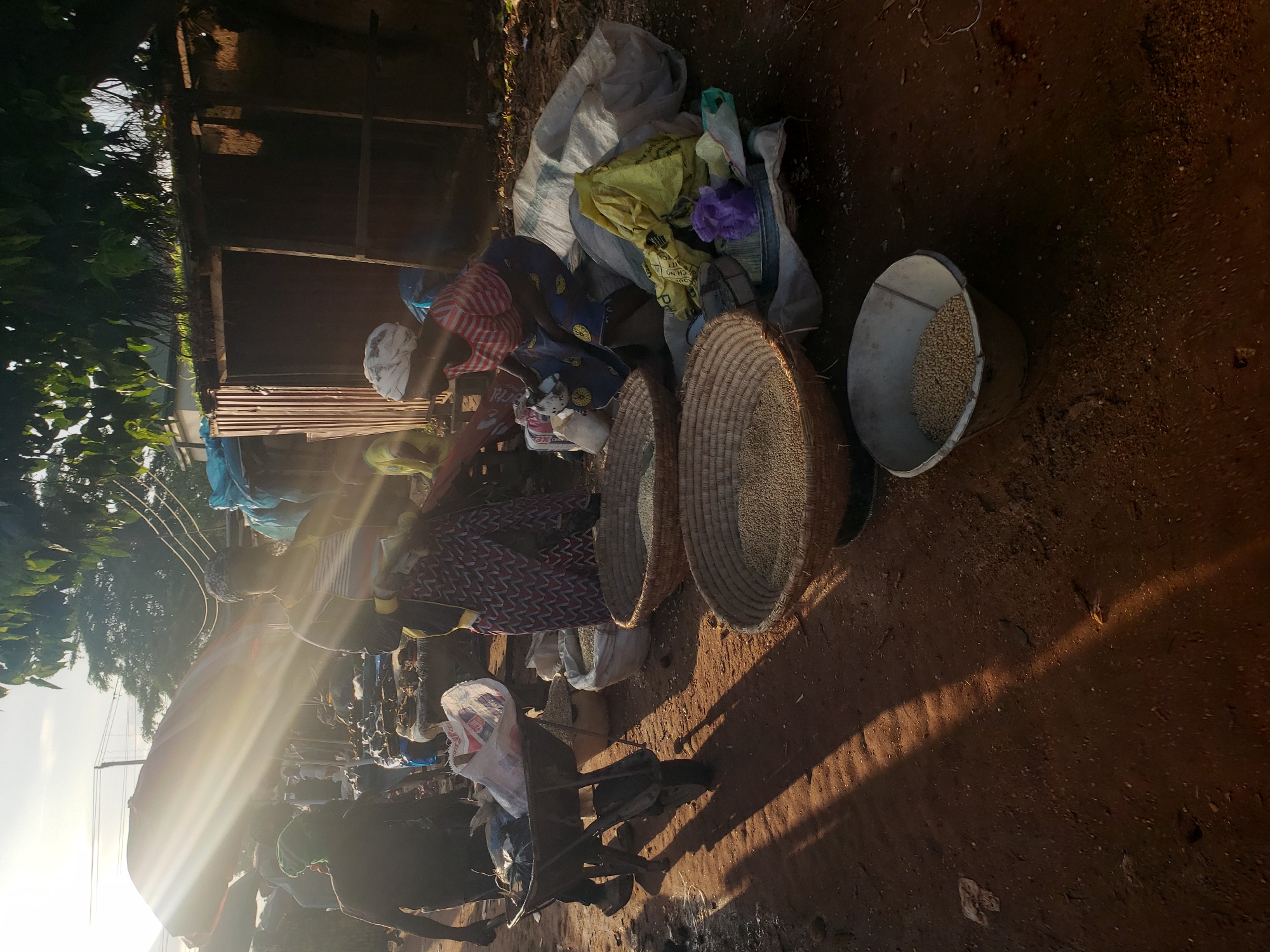 In Kakuri Gwari, Nigeria, a sun-drenched outdoor market scene unfolds with two women present. In the foreground, a woman wearing a red and white striped shirt and a headwrap is seated on large sacks, engaged in sorting small grains from a basket. Next to her, a second woman in a patterned skirt stands and appears to be interacting with the first. A wheelbarrow laden with bags and what appears to be produce is positioned to the left of the scene, with one person's legs visible near it. In the background, a rudimentary market stall with a corrugated iron roof and wooden supports is visible, along with other market activities and structures. The ground is reddish-brown earth, with sunlight casting long shadows across the scene. Baskets filled with grains and a bucket of grain are also prominent objects in the immediate vicinity of the women.
