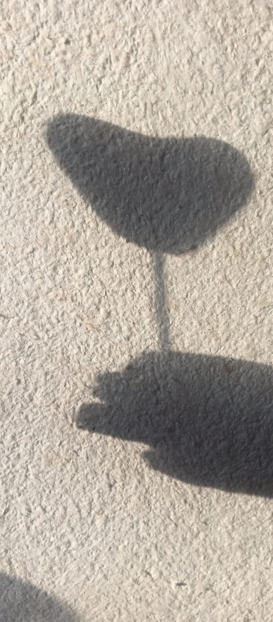 The image shows a shadow of a hand holding what appears to be a flower or a plant stem, cast on a textured, light-colored surface. The location and specific city are unknown. The environment appears to be outdoors, considering the presence of natural sunlight and shadows. The scene is static, with no visible actions or interactions besides the hand holding the object, creating its shadow.