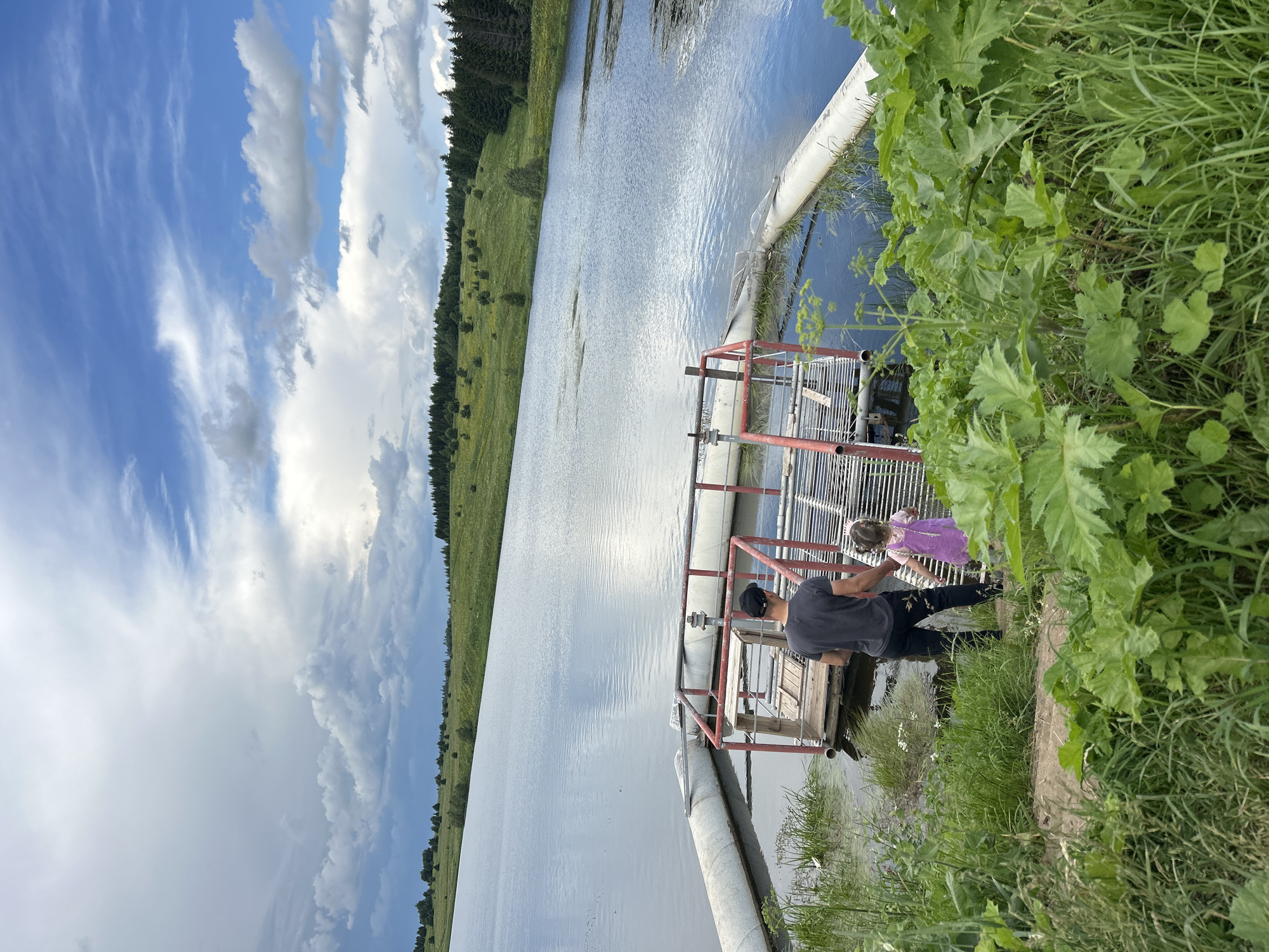 The image depicts a man and a young girl standing near a body of water, possibly a reservoir or lake, in Верх-Рождество, Russia. In the foreground, lush green vegetation, including large-leafed plants and tall grasses, partially obscures the view. A floating structure, featuring a wooden platform and a red metal frame, is situated in the water, connected by large white pipes. The man, wearing a dark t-shirt and black pants, and a black cap, is looking towards the structure, with his left hand outstretched. The girl, in a light purple dress, is holding his hand and looking towards the structure as well. The background reveals a sloping, grassy landscape dotted with trees, leading up to a horizon under a sky filled with a mix of white and dark clouds. The water surface reflects the sky and surrounding landscape.