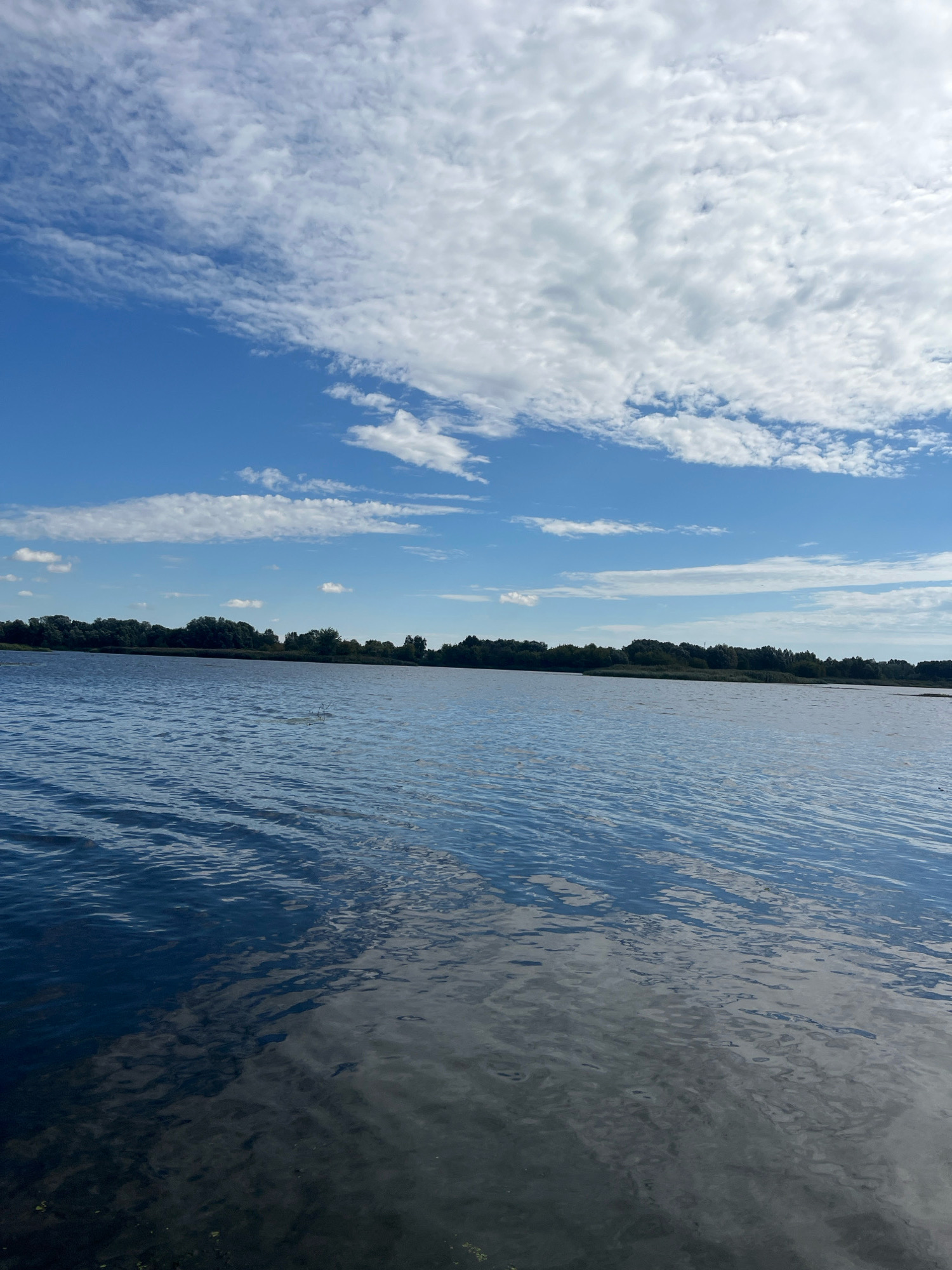The image depicts a serene water landscape with a clear blue sky filled with scattered white clouds. The foreground is dominated by rippling water, reflecting the sky and the surrounding greenery. In the mid-ground, a dense line of trees forms the horizon, indicating a shoreline. The overall scene is tranquil and suggests an outdoor natural setting. The location is the city of Vyshenʹky 2, Ukraine.
