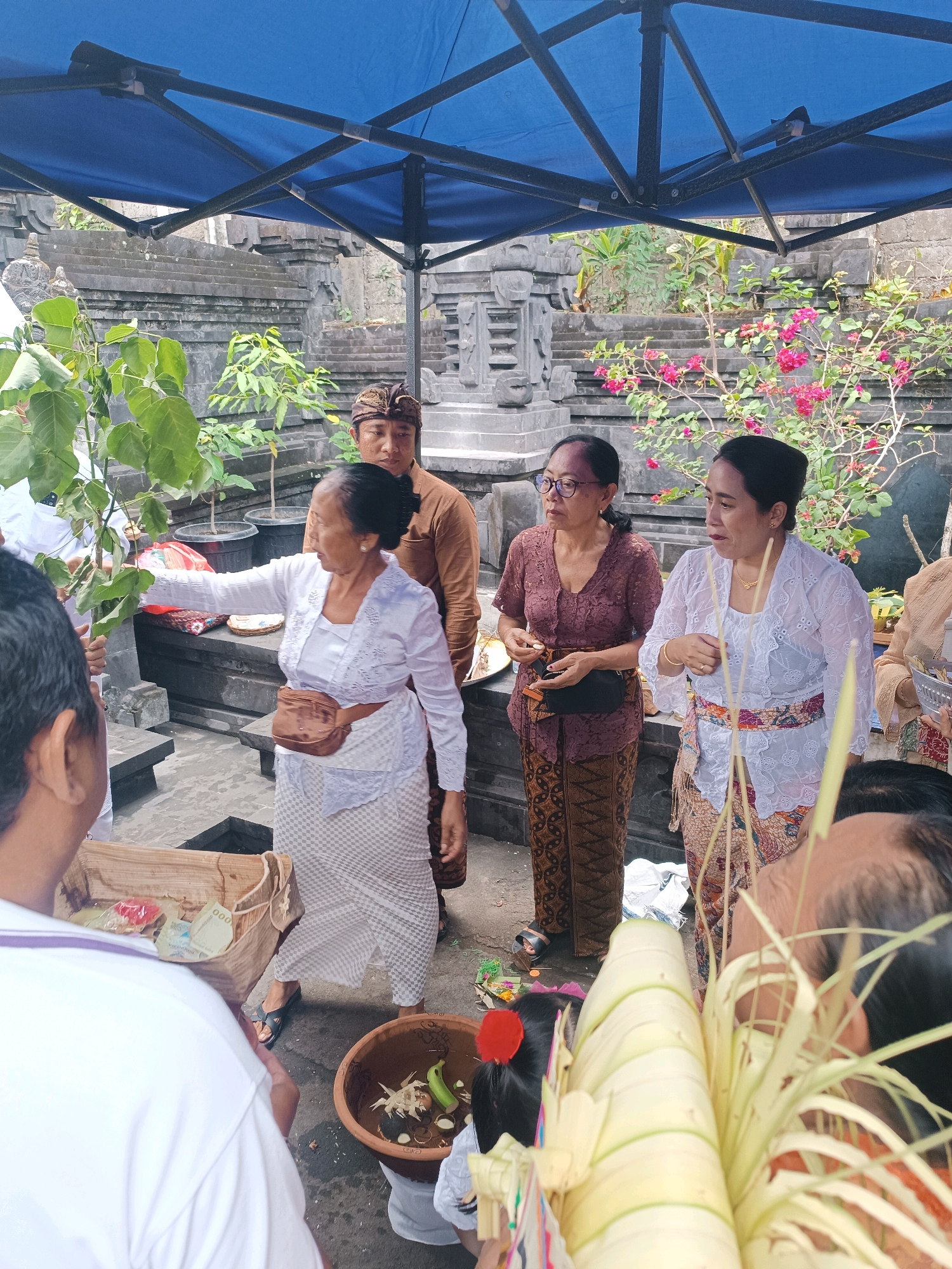 An outdoor ceremony is taking place at a temple in Tabanan, Indonesia, under a blue canopy. Several people are dressed in traditional Balinese attire. In the foreground, a person in a white top and plaid sarong holds a basket containing money and other items. Next to them is a large terracotta pot with various offerings, including a banana and what appear to be small effigies. To the right, another person holds a bundle of incense sticks. Behind these individuals, a woman in a white lace kebaya and a patterned sarong stands, looking towards the offerings. Another woman in a dark red brocade kebaya and patterned sarong, wearing glasses, stands next to her. A man in a brown shirt and a traditional Balinese headpiece stands in the background. The environment includes stone structures, potted plants, and flowering bushes.