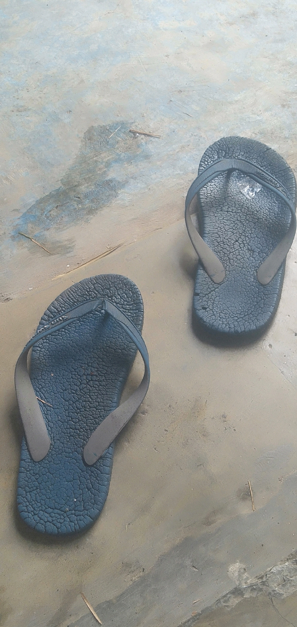 A pair of blue and gray flip-flops are placed on a dusty concrete surface in what appears to be an outdoor setting. One flip-flop is positioned closer to the foreground on the left side of the image, while the other is further away on the right. The flip-flops show signs of wear, with textured soles and slightly faded straps. The concrete surface has an uneven texture and some light-colored smudges, suggesting it is a well-trodden area. A few thin, dry grass stalks or twigs are scattered on the ground. The overall impression is that of an everyday, utilitarian scene. The image's content and context do not provide any specific information about the location in Plemahan, Indonesia.