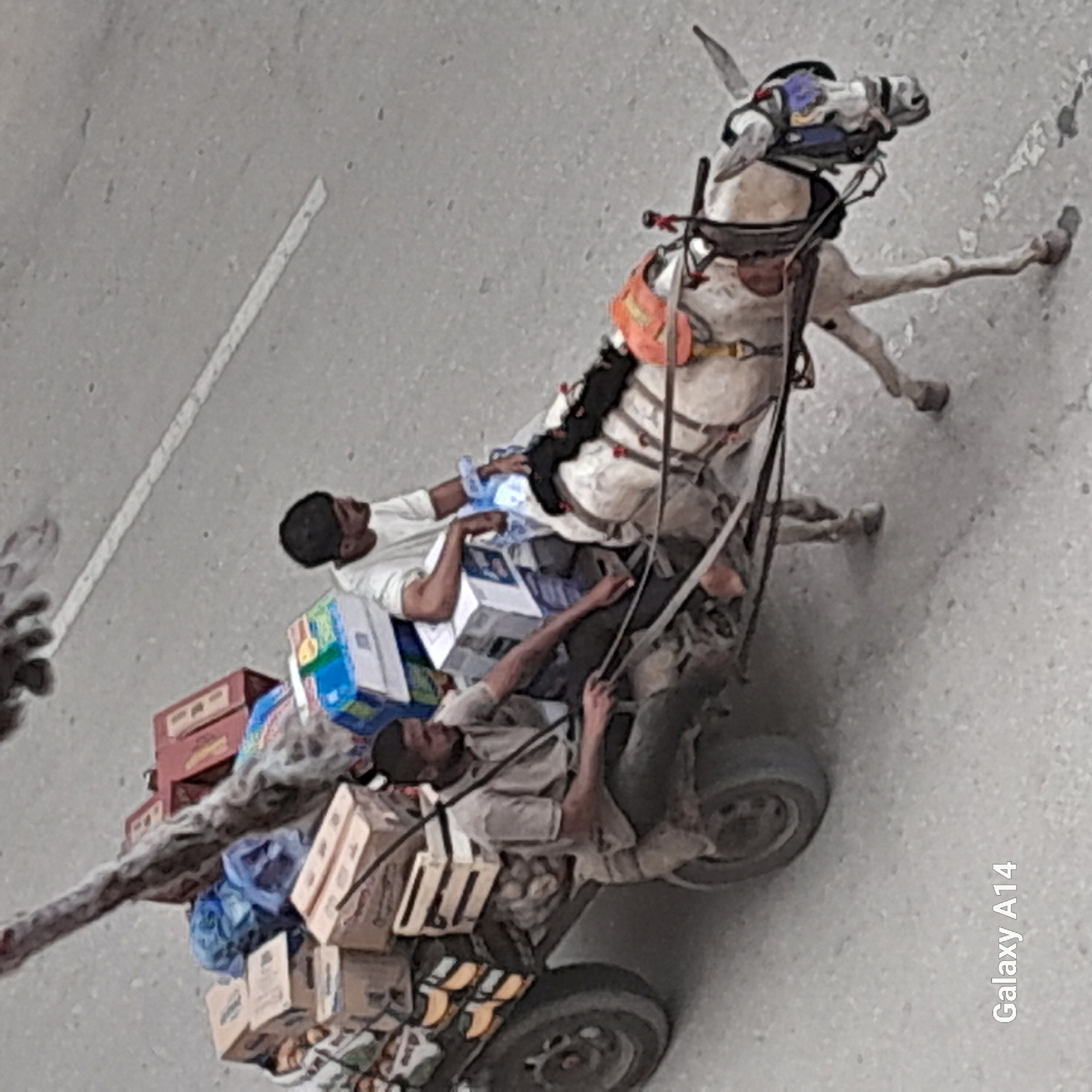 In Khan Yunis, Palestinian Territories, a donkey pulls a cart laden with goods. Two men are seated on the cart. The man in the front, wearing a light brown polo shirt and dark pants, is holding the reins. The man behind him, wearing a white t-shirt, is looking forward. The cart contains several boxes, some wrapped in plastic bags, and what appear to be potatoes in a sack. The donkey is harnessed and equipped with a decorative blue and red bridle. The scene takes place on a paved road with a white line marking the lanes. A part of a giraffe's neck and head is visible at the top of the frame, seemingly part of a separate image overlay. The lower right corner of the image displays the text "Galaxy A14".